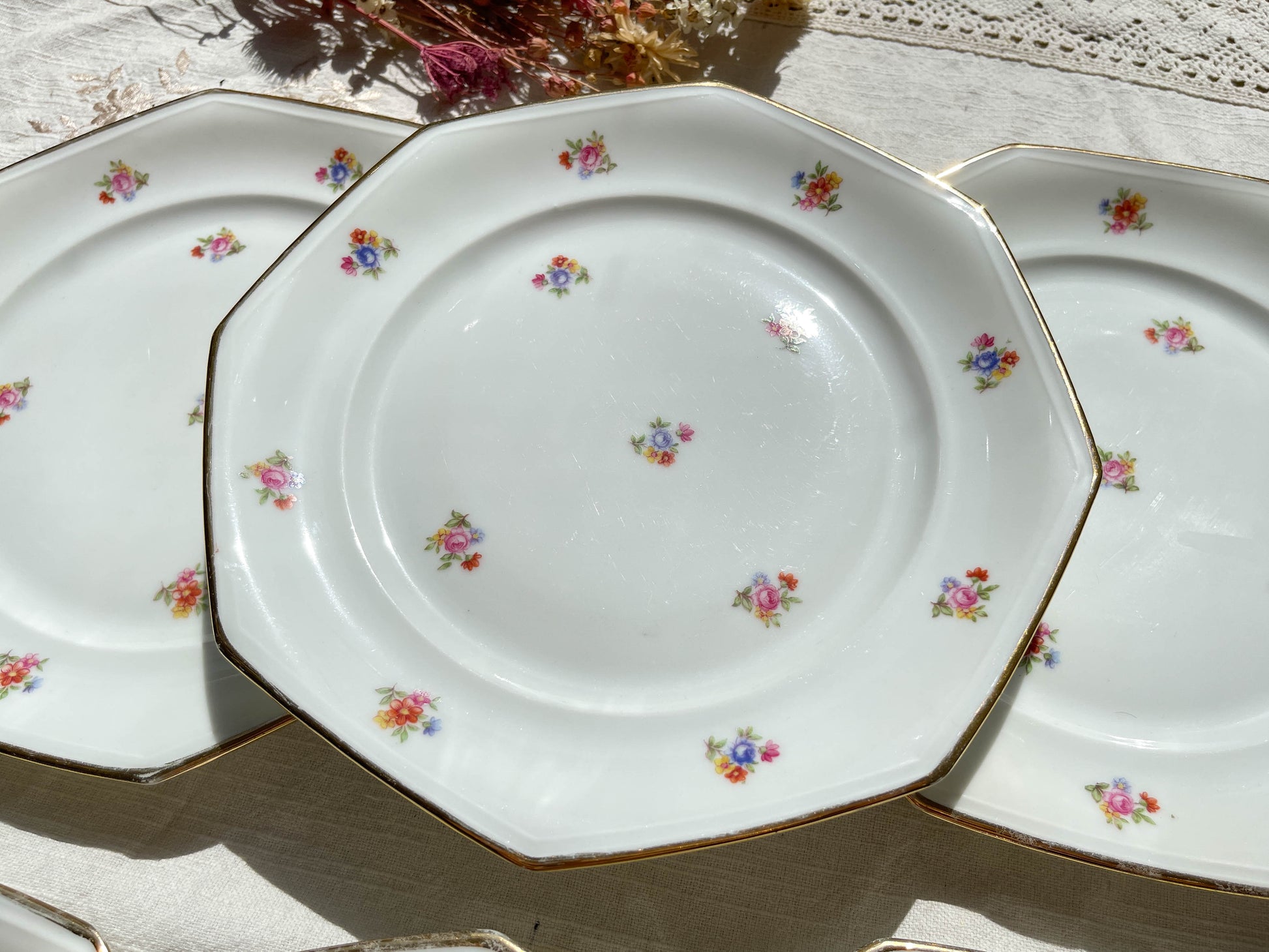 6 Assiettes plates en porcelaine Française fleurie LAMOTTE