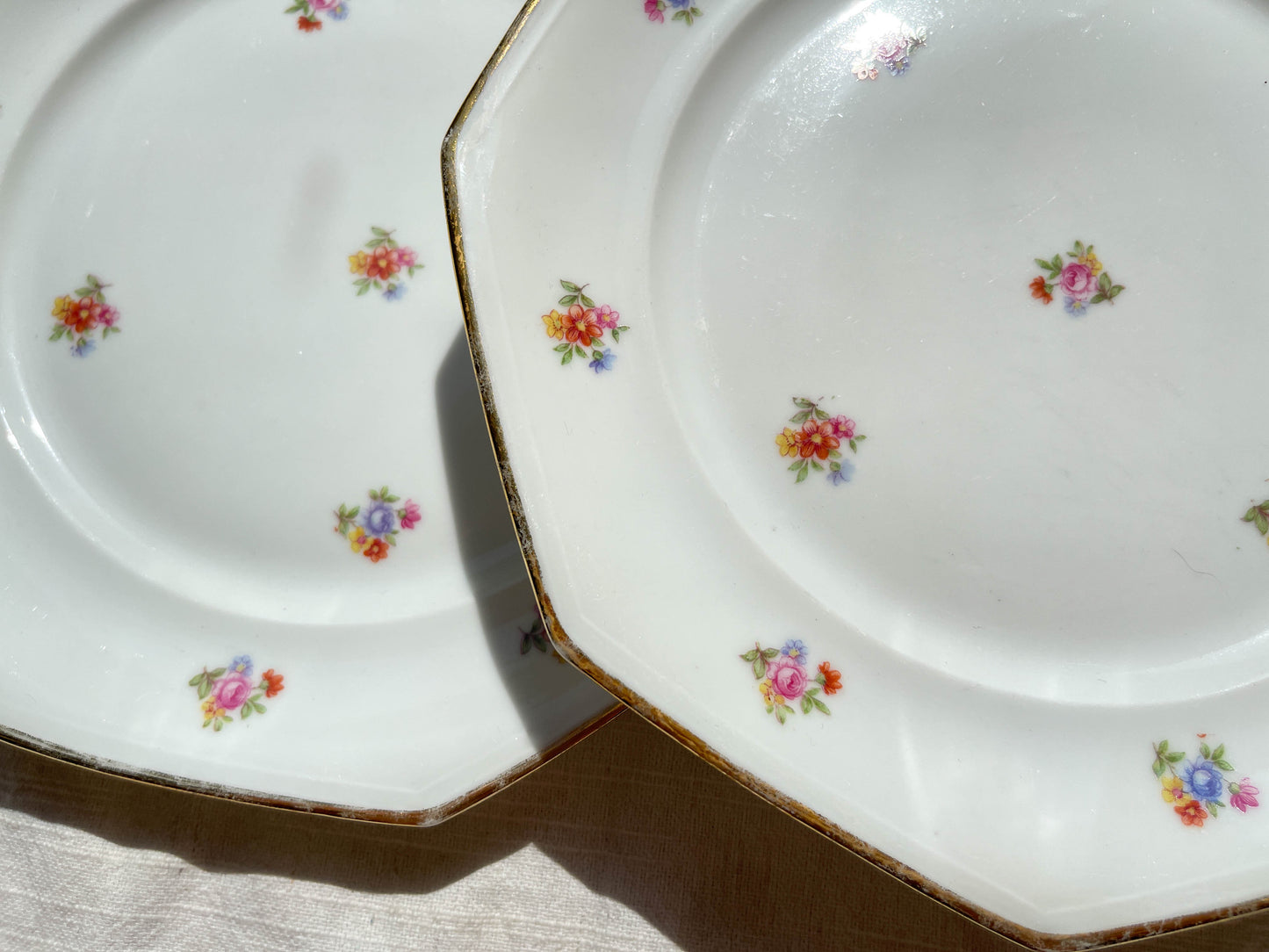 6 Assiettes plates en porcelaine Française fleurie LAMOTTE