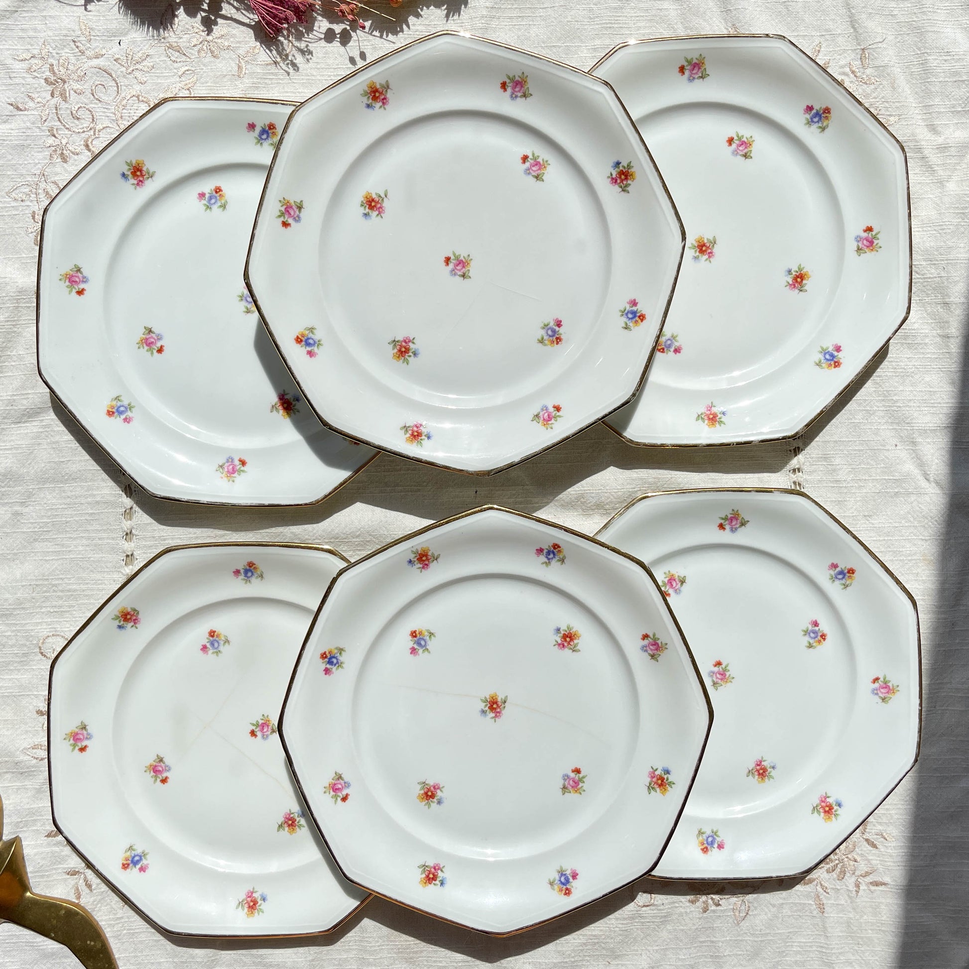 6 Assiettes plates en porcelaine Française fleurie LAMOTTE
