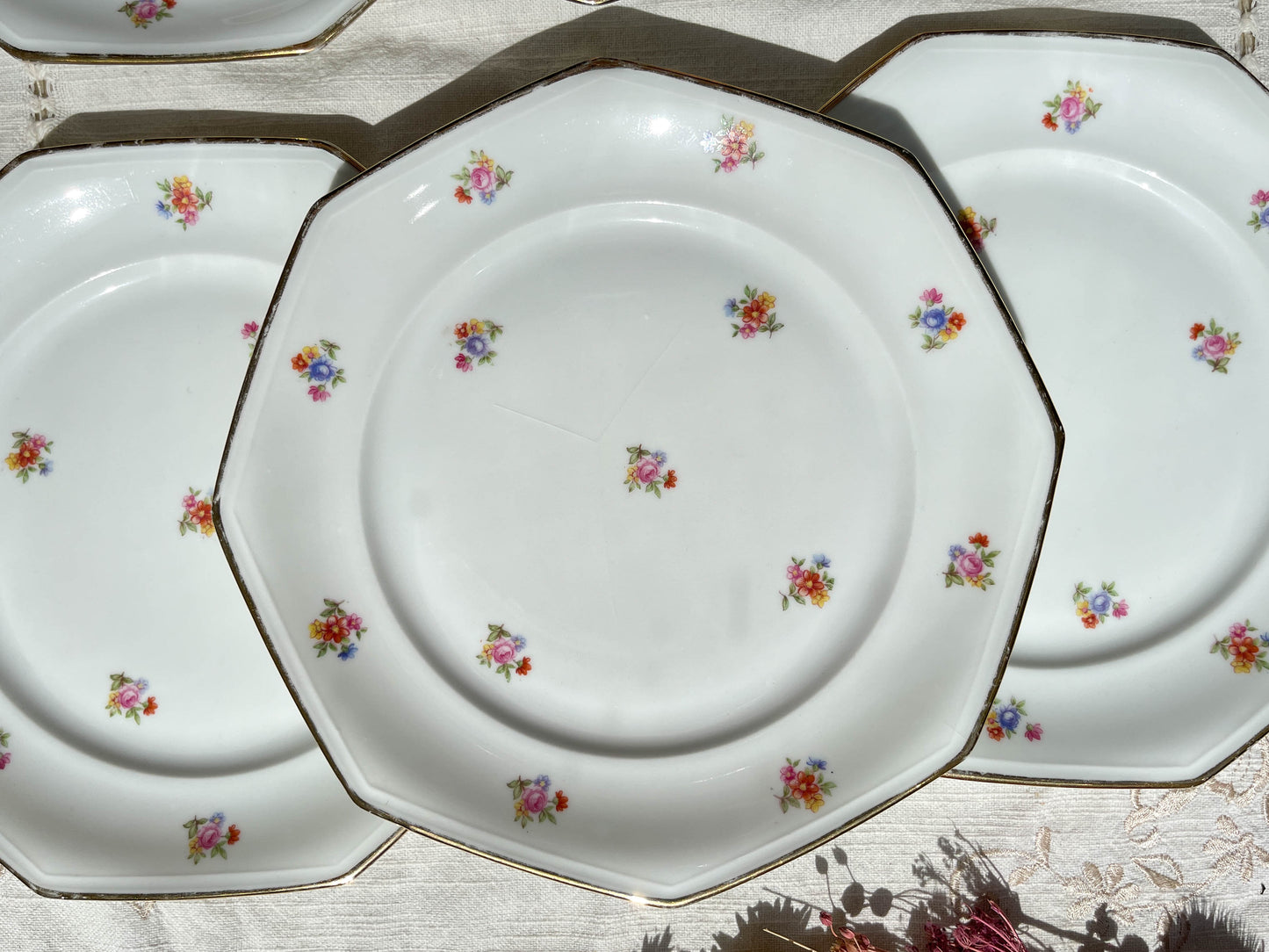 6 Assiettes plates en porcelaine Française fleurie LAMOTTE