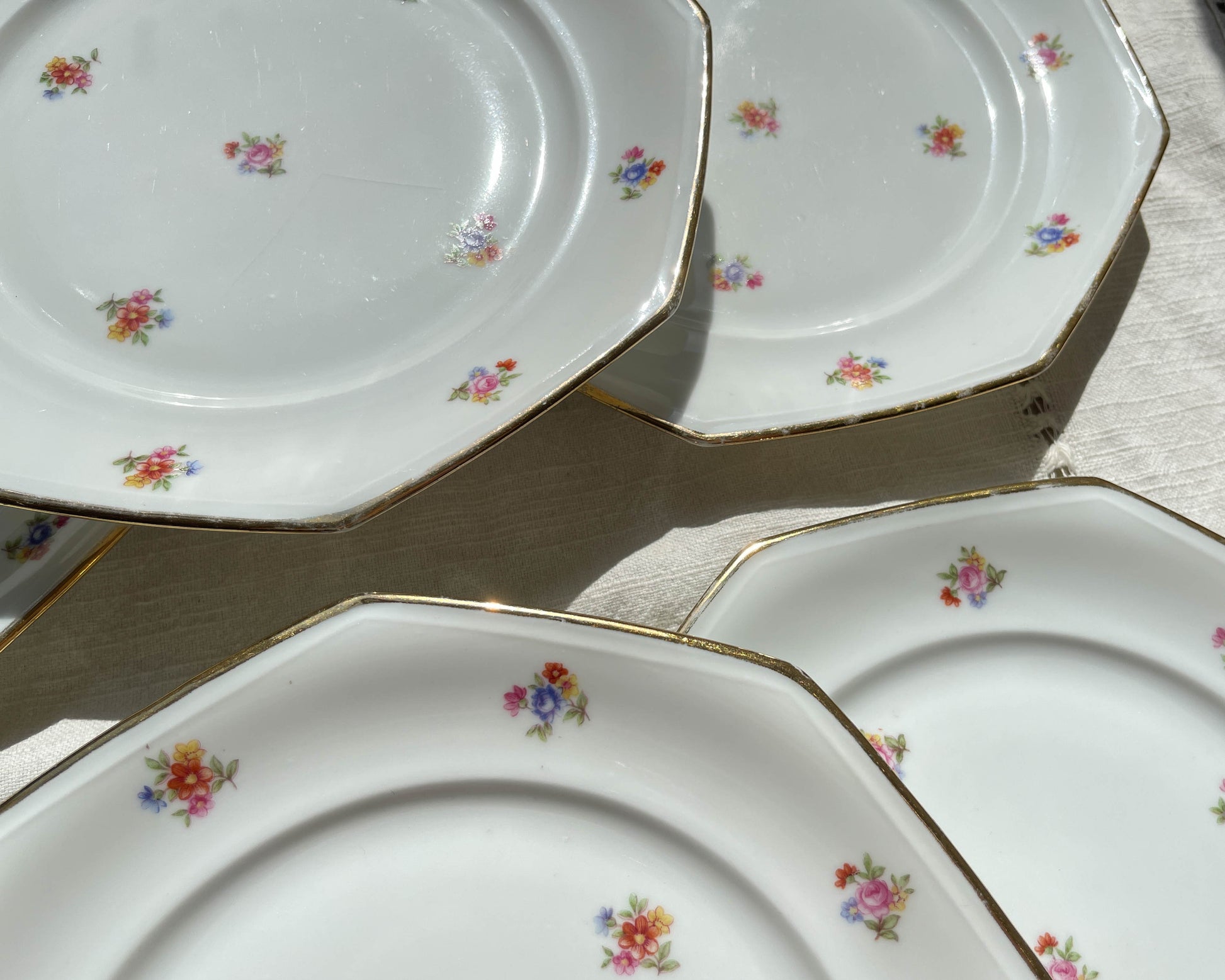 6 Assiettes plates en porcelaine Française fleurie LAMOTTE