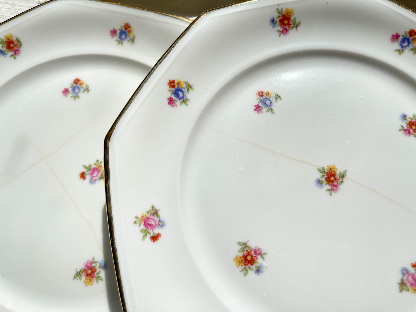 6 Assiettes plates en porcelaine Française fleurie LAMOTTE