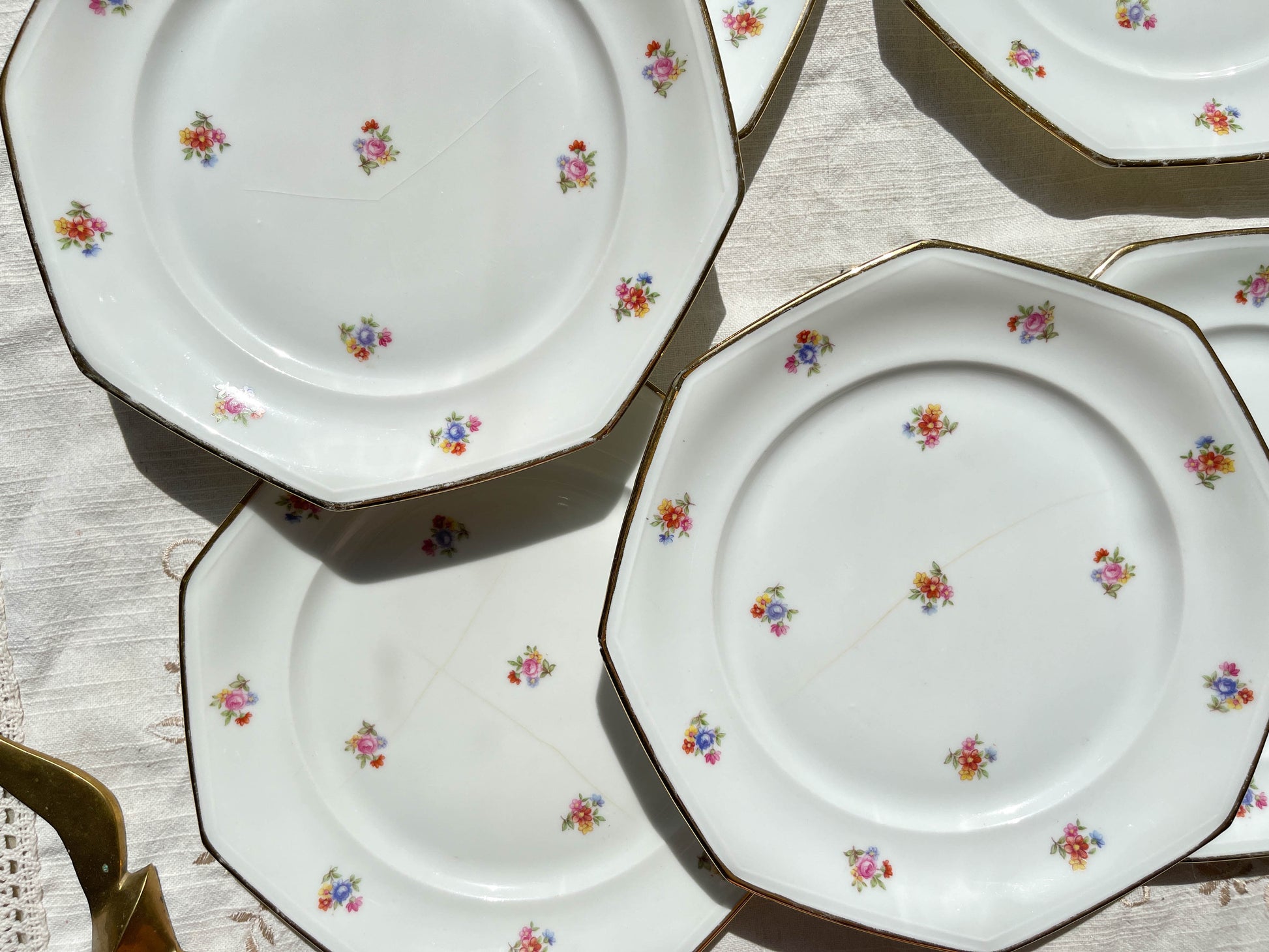 6 Assiettes plates en porcelaine Française fleurie LAMOTTE