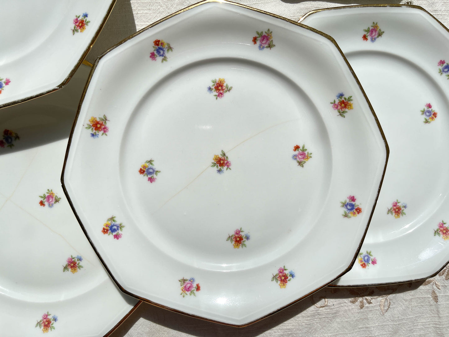 6 Assiettes plates en porcelaine Française fleurie LAMOTTE