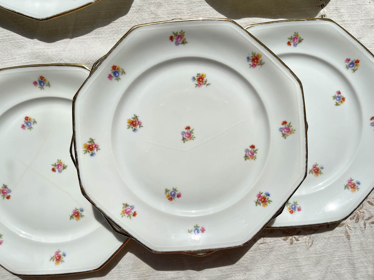 6 Assiettes plates en porcelaine Française fleurie LAMOTTE
