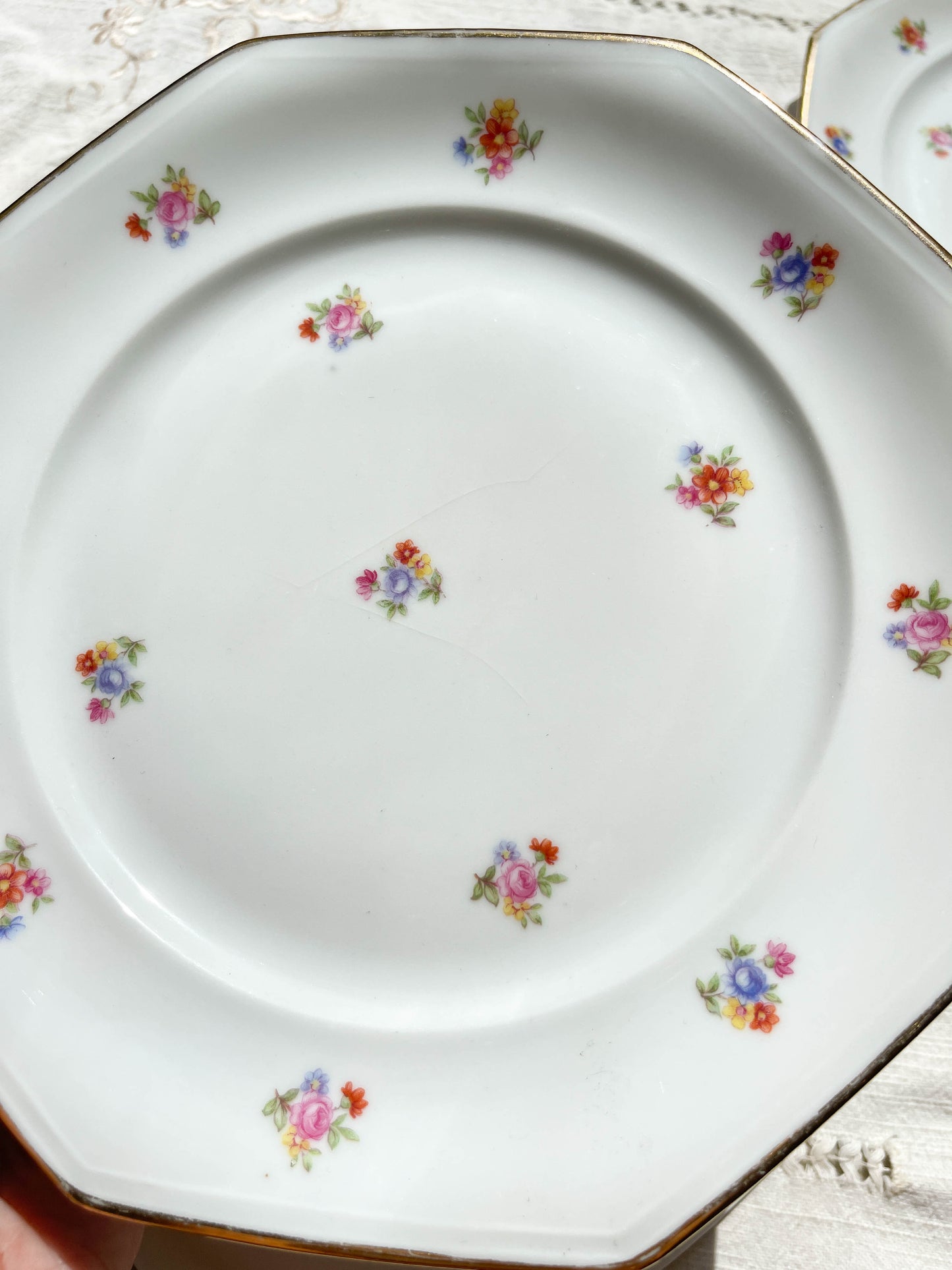 6 Assiettes plates en porcelaine Française fleurie LAMOTTE