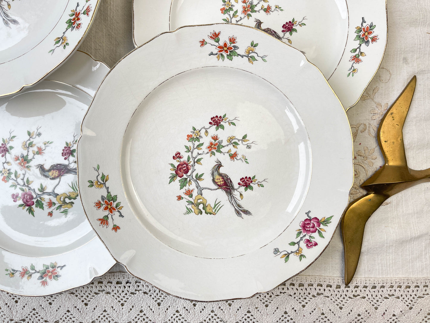 8 Assiettes plates en porcelaine Céranord motif oiseau de paradis modèle "REGENCE"