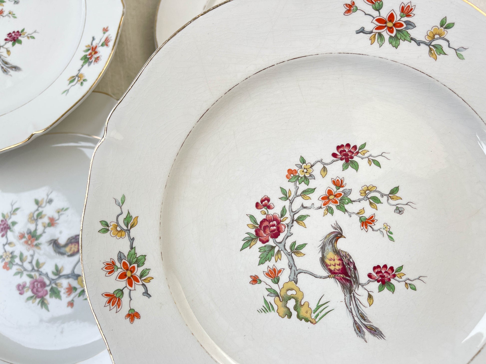 8 Assiettes plates en porcelaine Céranord motif oiseau de paradis modèle "REGENCE"