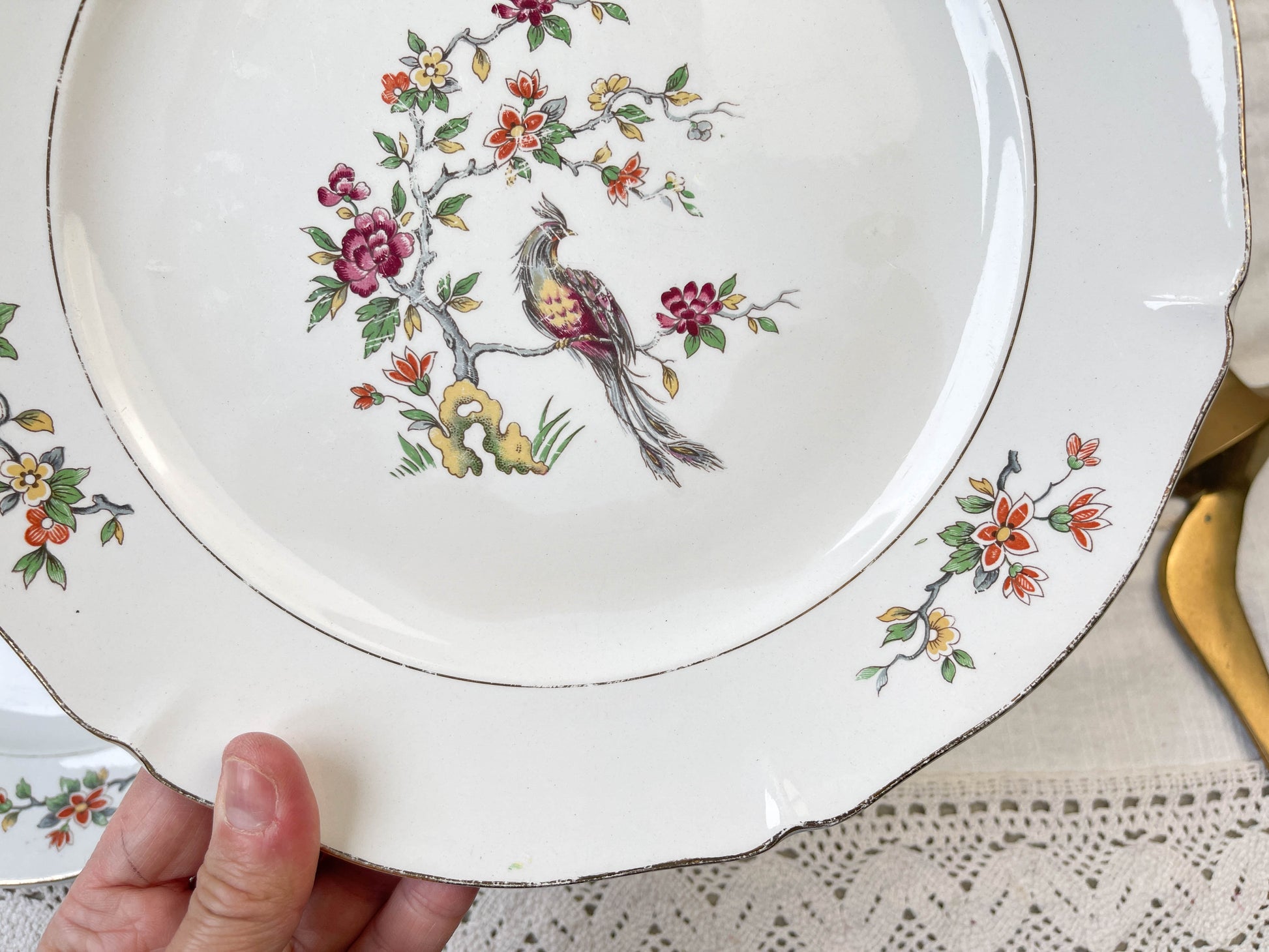 8 Assiettes plates en porcelaine Céranord motif oiseau de paradis modèle "REGENCE"