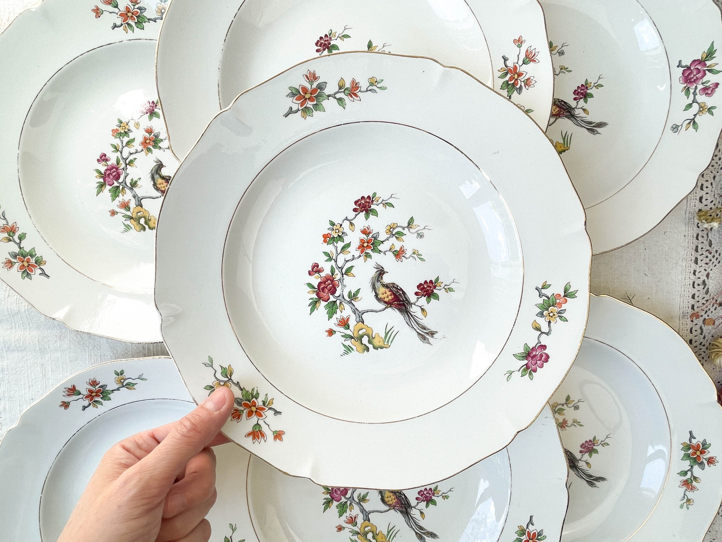 7 Assiettes creuses en porcelaine Française Céranord modèle "REGENCE" motif oiseau de paradis