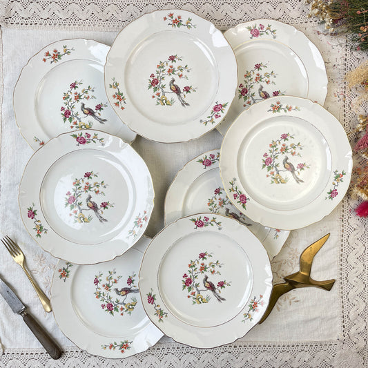 8 Assiettes plates en porcelaine Céranord motif oiseau de paradis modèle "REGENCE"