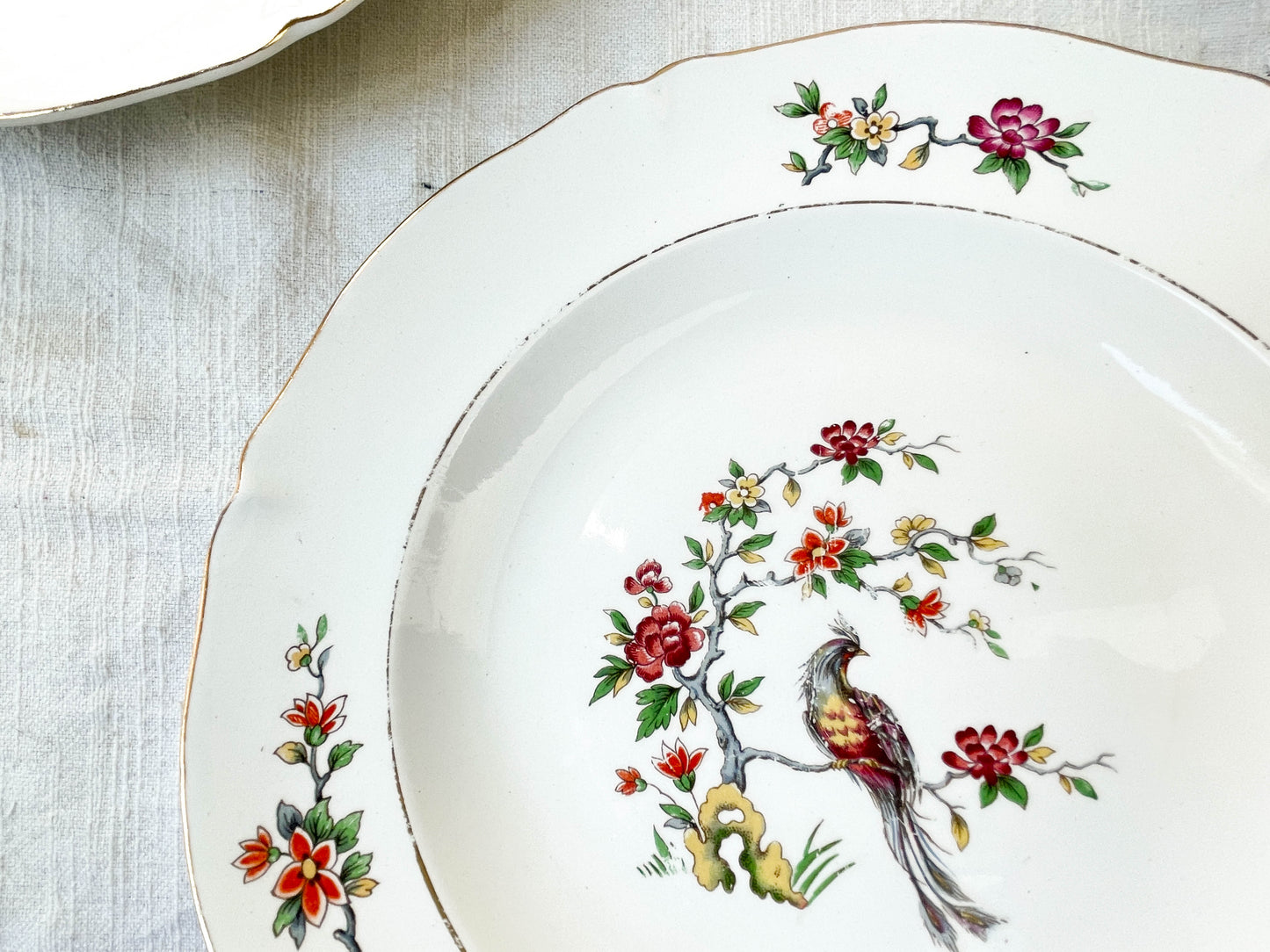 7 Assiettes creuses en porcelaine Française Céranord modèle "REGENCE" motif oiseau de paradis