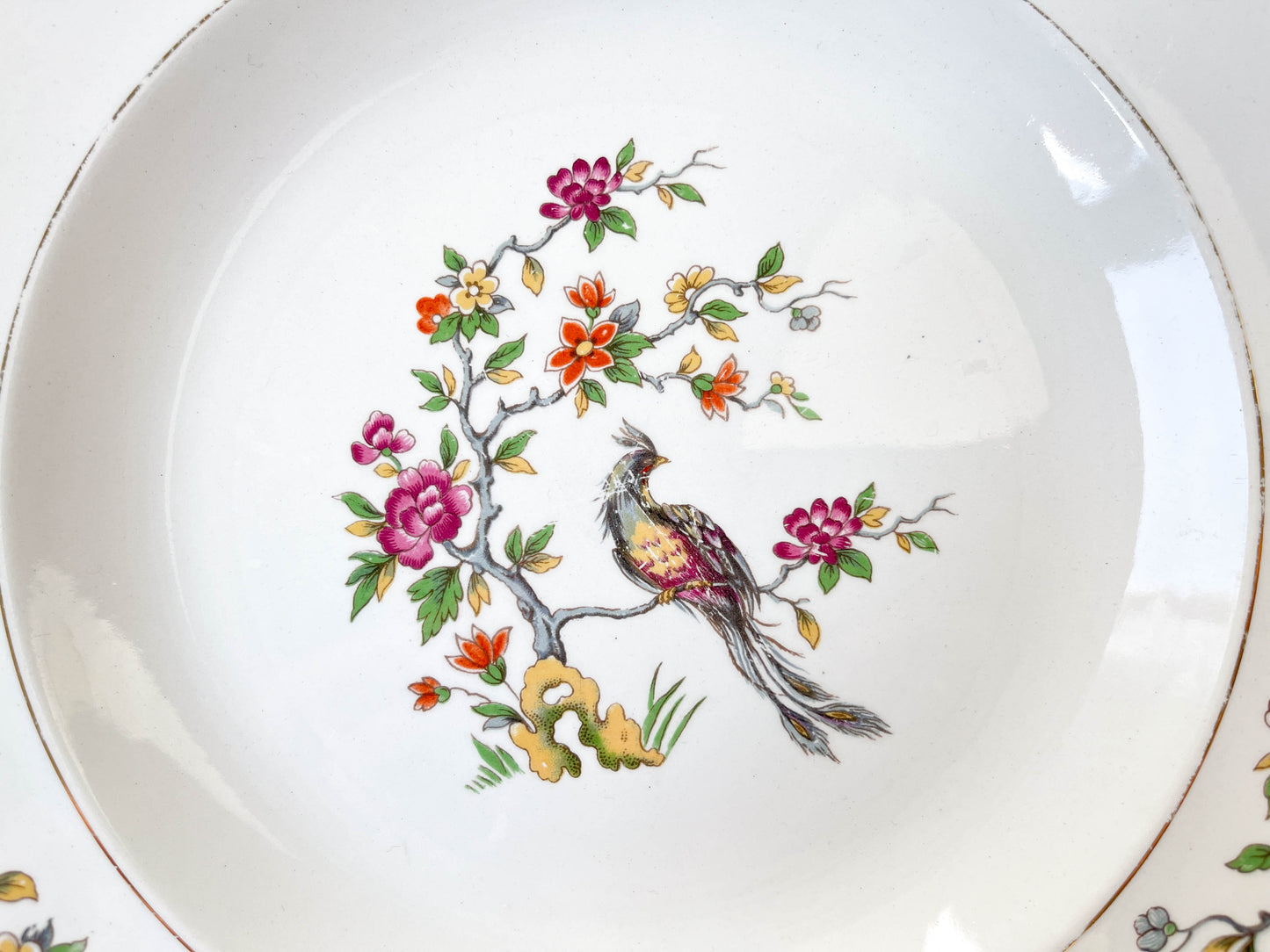 7 Assiettes creuses en porcelaine Française Céranord modèle "REGENCE" motif oiseau de paradis