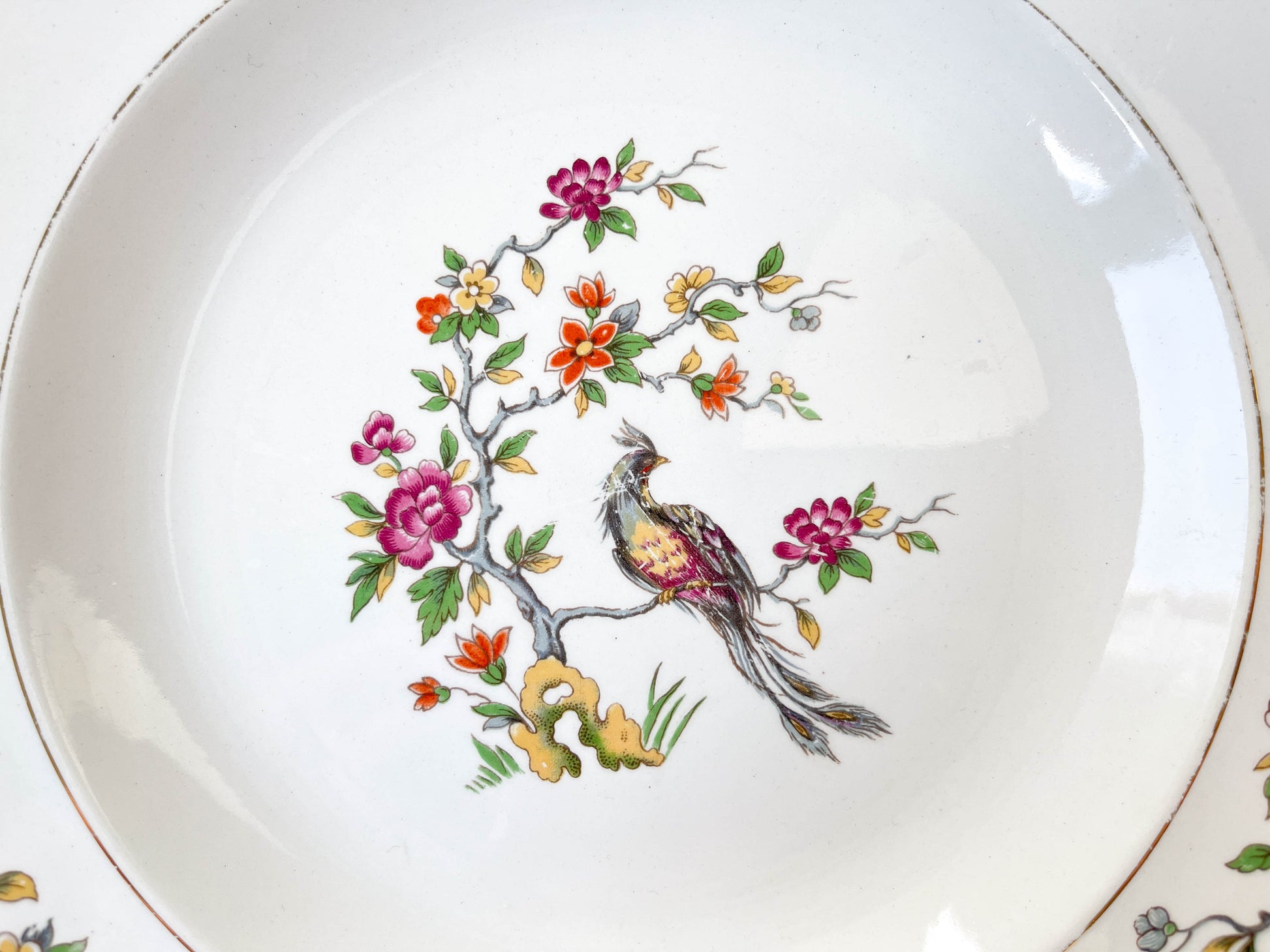 7 Assiettes creuses en porcelaine Française Céranord modèle "REGENCE" motif oiseau de paradis