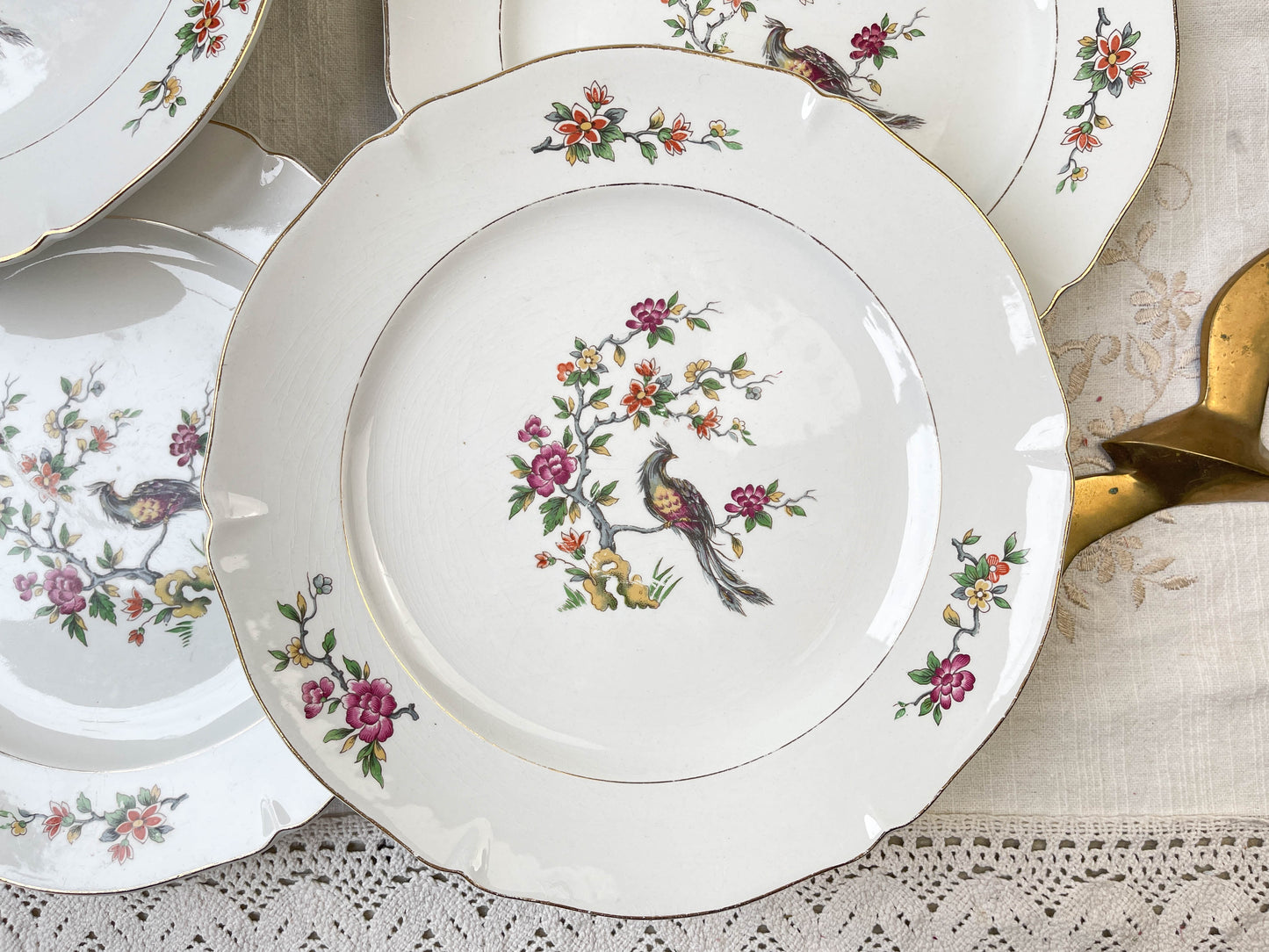 8 Assiettes plates en porcelaine Céranord motif oiseau de paradis modèle "REGENCE"