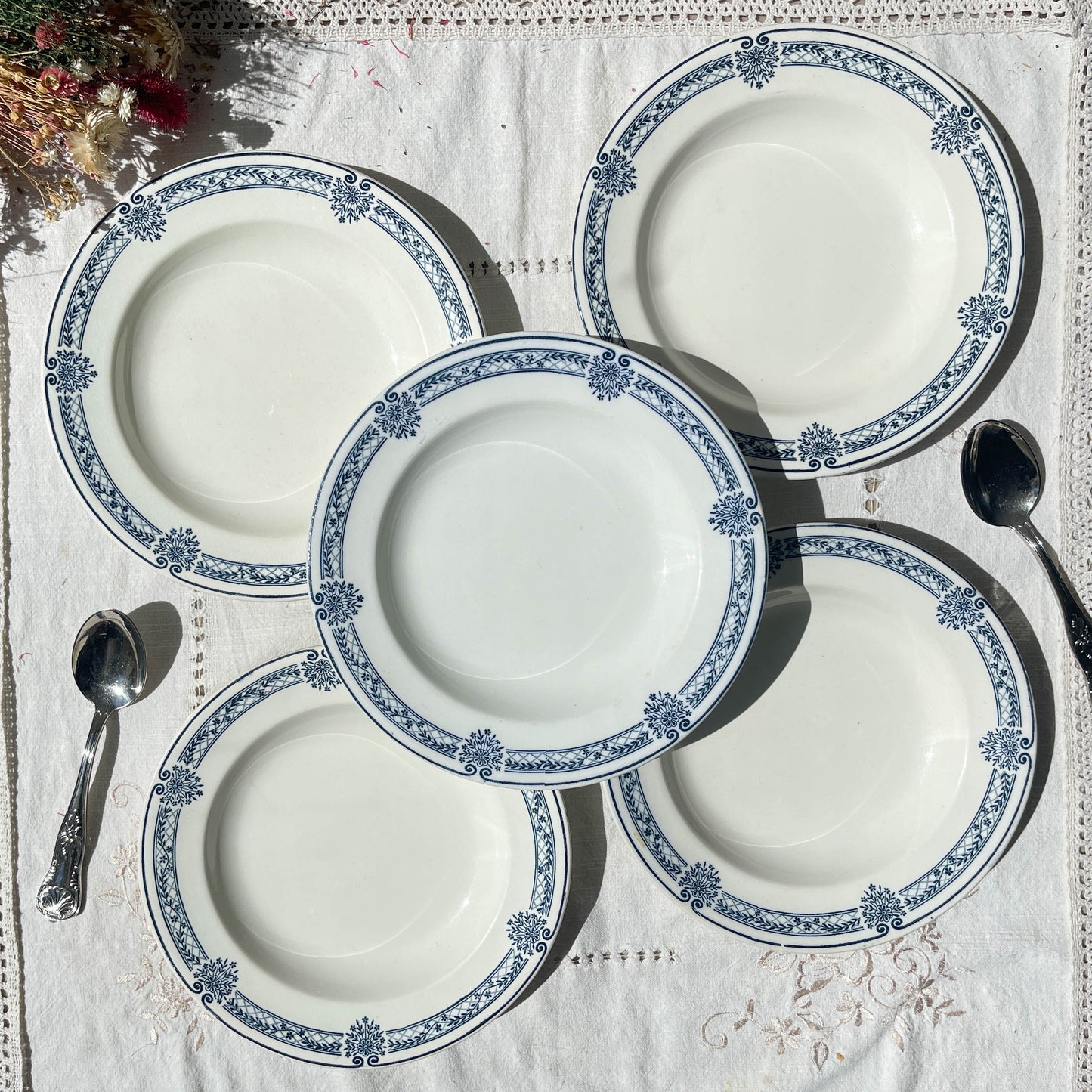 5 Assiettes creuses Terre de fer bleue Salins modèle Arbois Ennege