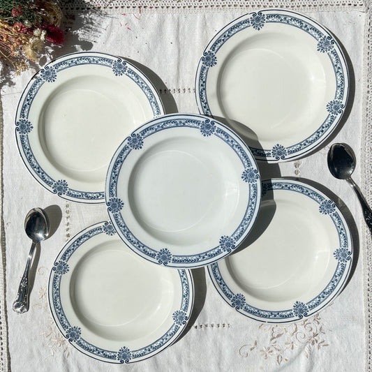 5 Assiettes creuses Terre de fer bleue Salins modèle Arbois Ennege