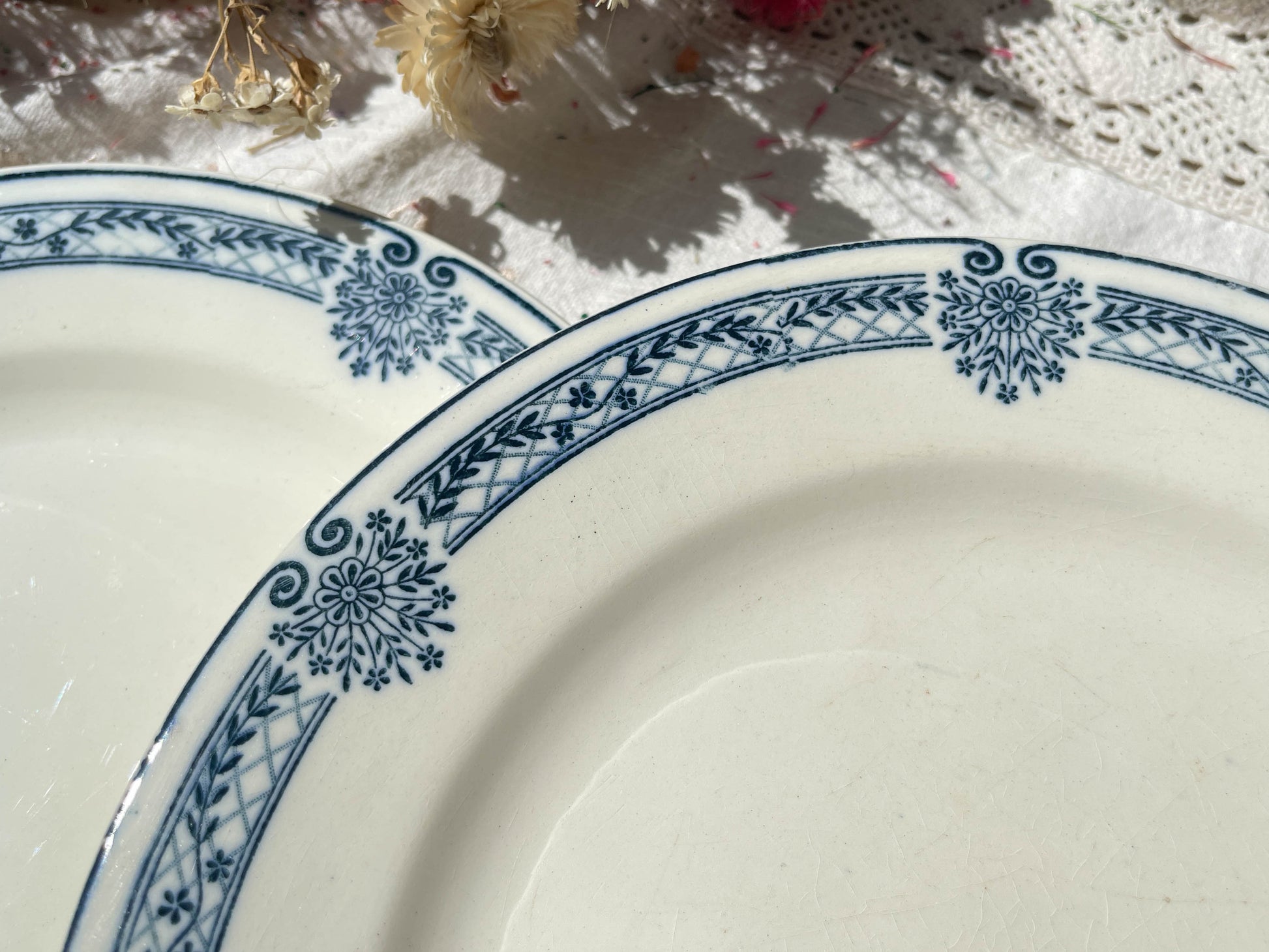6 Assiettes plates Terre de fer bleue Salins modèle Arbois Ennege