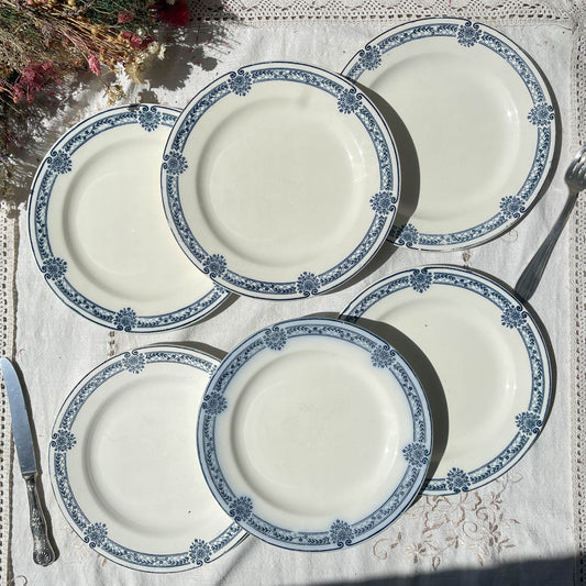 6 Assiettes plates Terre de fer bleue Salins modèle Arbois Ennege
