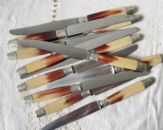 12 couteaux vintage bakélite Inox Pradel