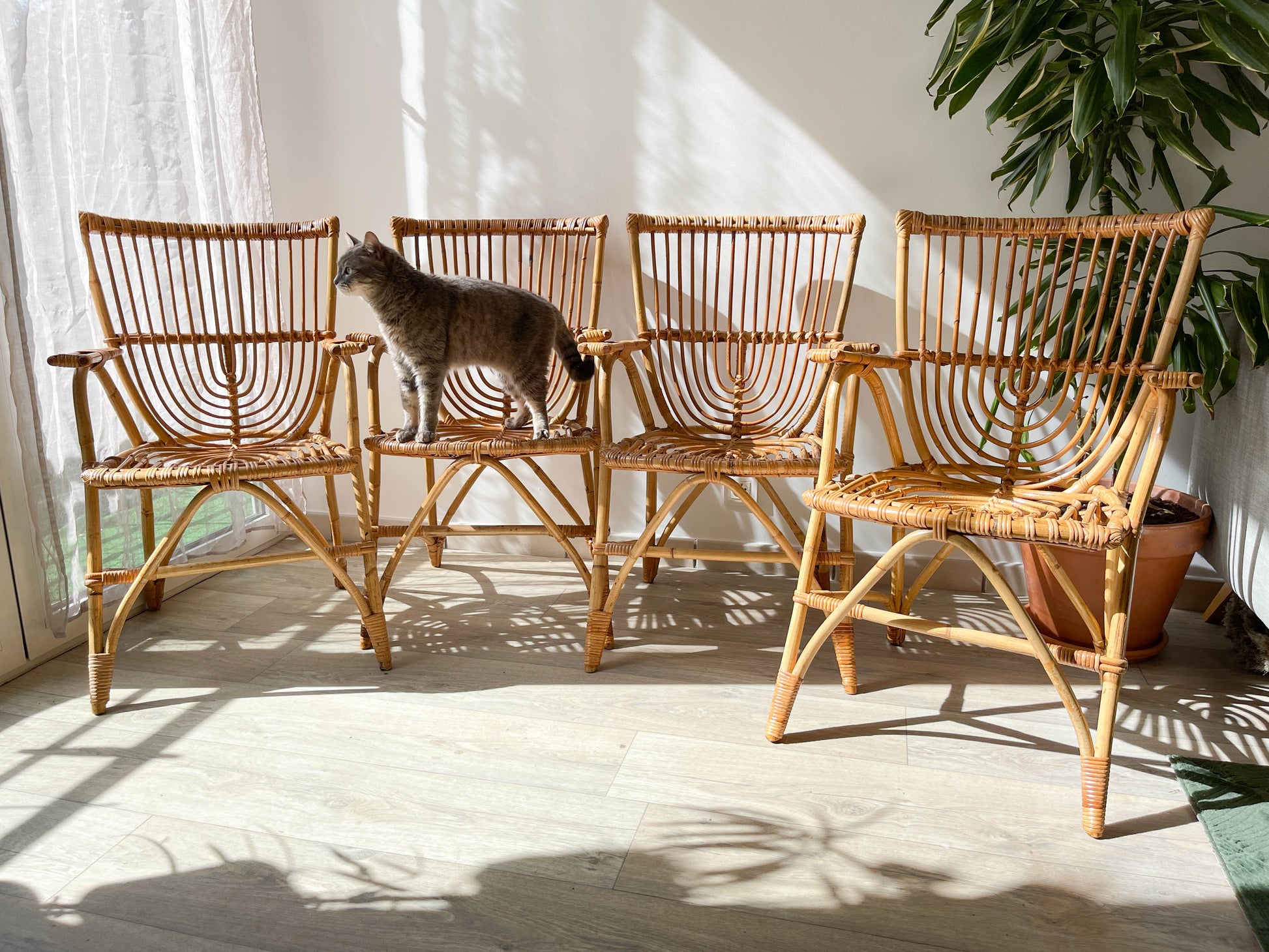 Fauteuils en rotin vintage 1970