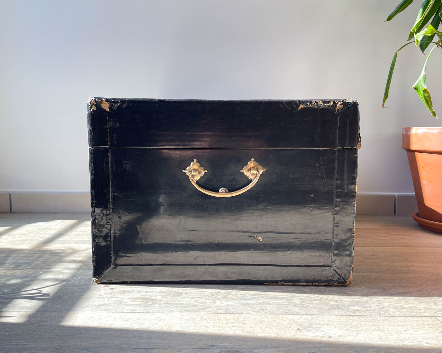 Malle chinoise en bois et cuir laqué noir du 19e siècle