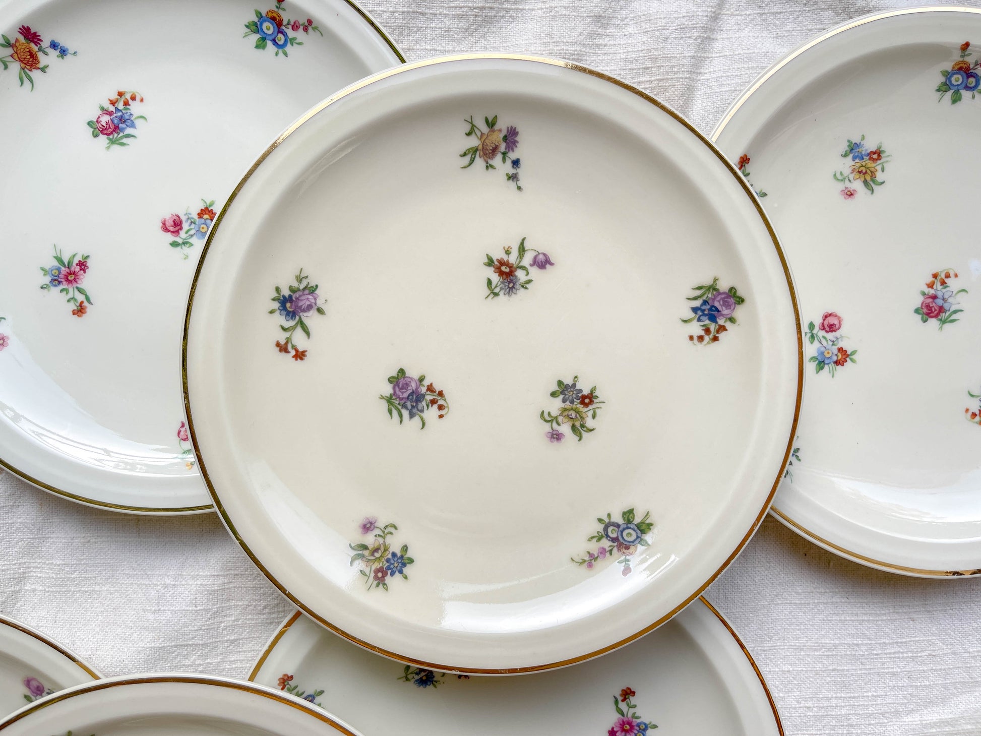 Lot de 10 Petites Assiettes Vintage en Porcelaine Fleurie – Limoges Haviland