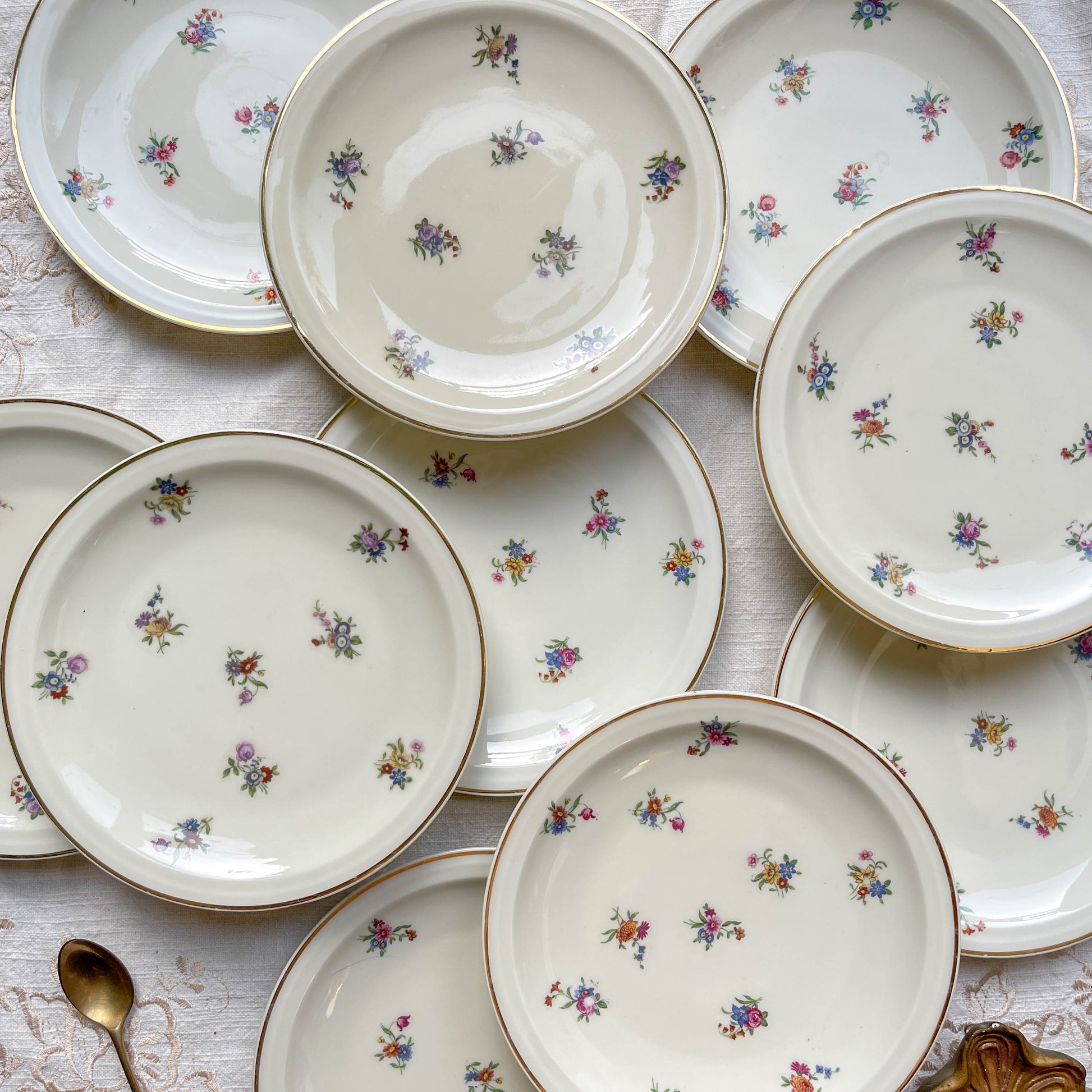 Lot de 10 Petites Assiettes Vintage en Porcelaine Fleurie – Limoges Haviland