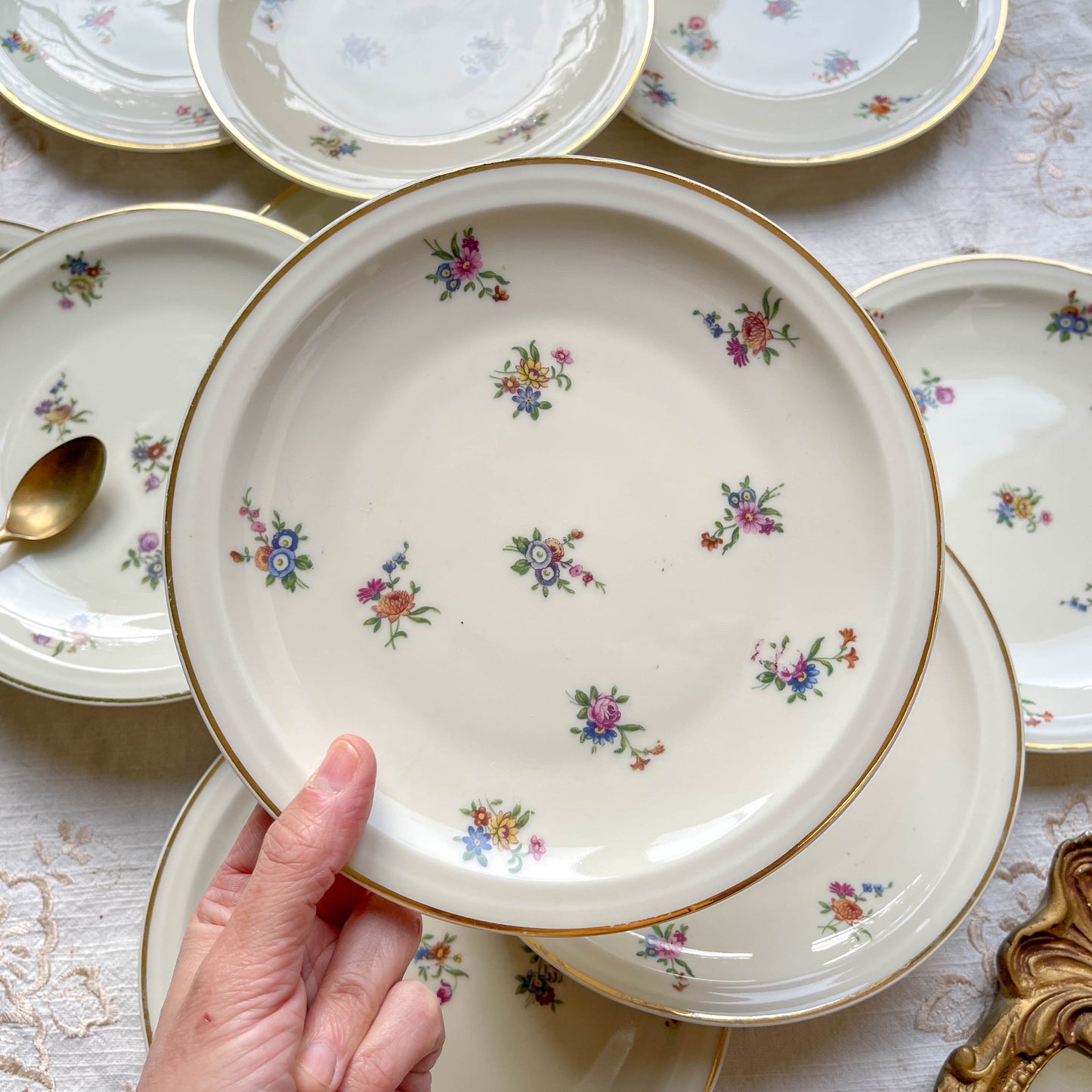 Lot de 10 Petites Assiettes Vintage en Porcelaine Fleurie – Limoges Haviland