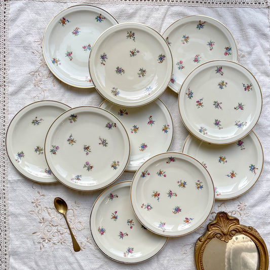 Lot de 10 Petites Assiettes Vintage en Porcelaine Fleurie – Limoges Haviland
