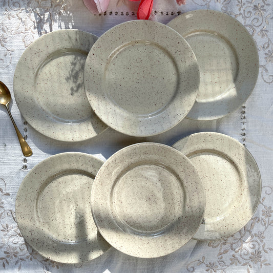 Petites assiettes en grès gris moucheté TULOWICE