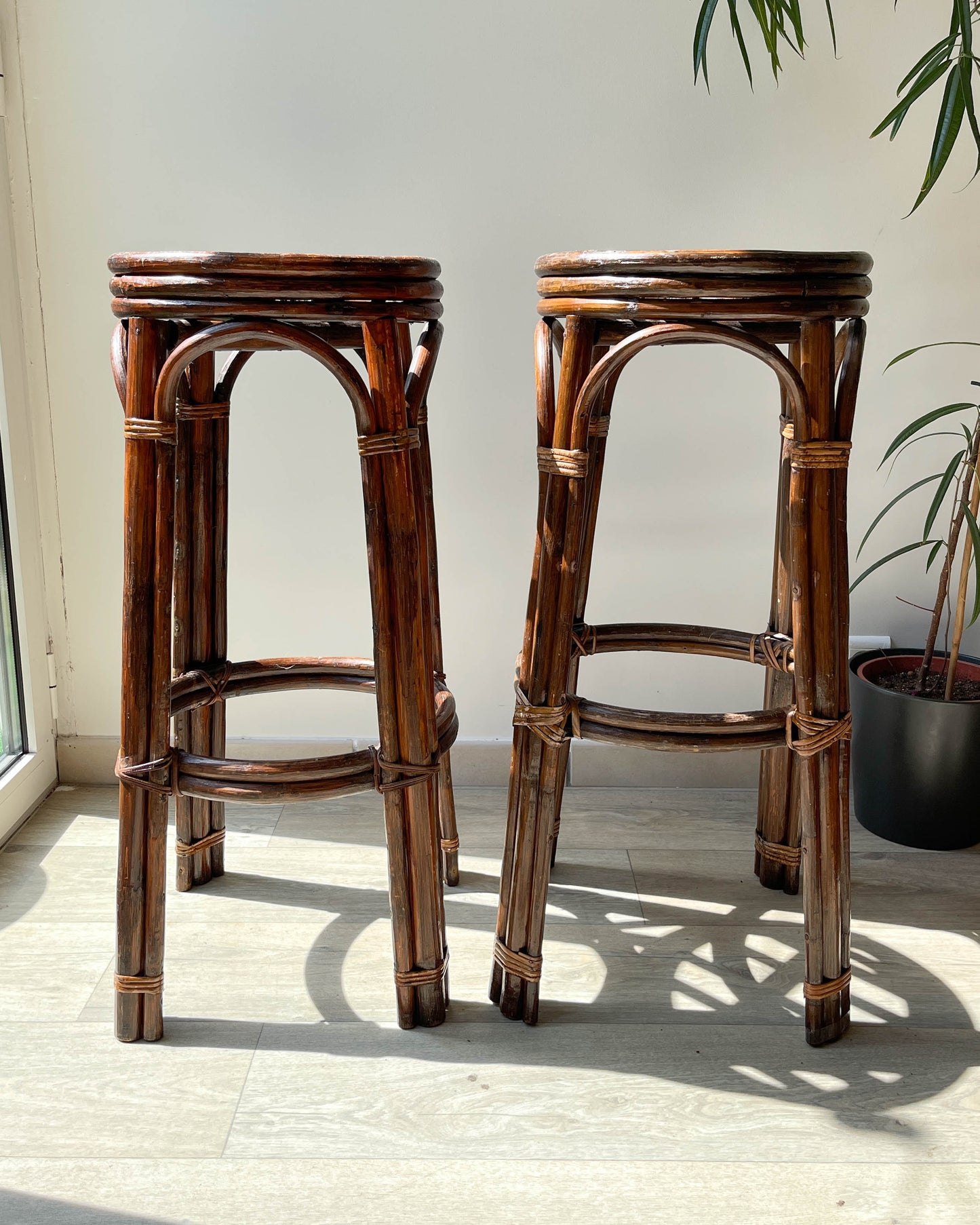 Tabourets de bar vintage en bois courbé, 1950