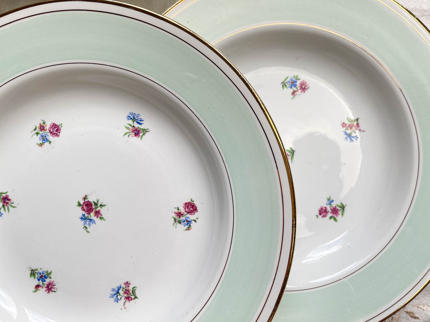 6 Assiettes à soupe vintage porcelaine blanche verte fleurie SALINS 66 de 1950s