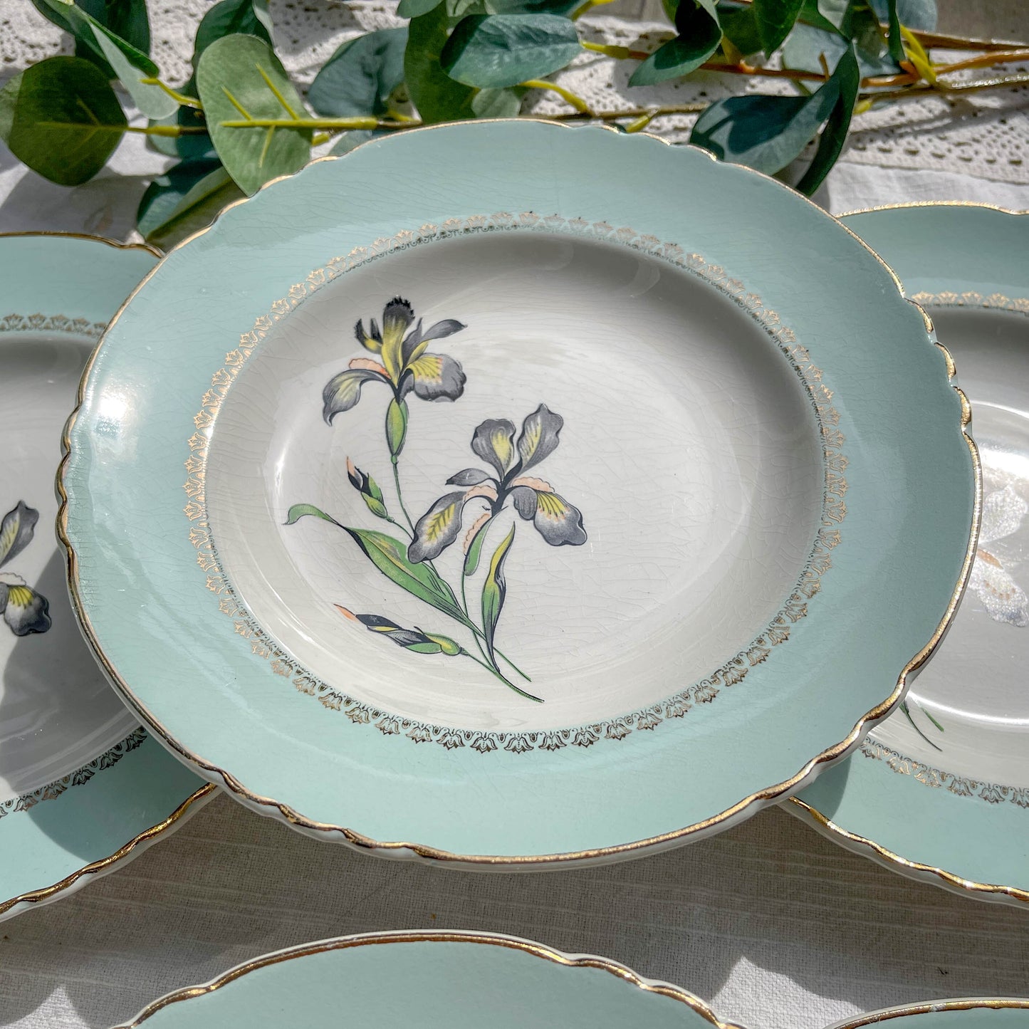 6 Assiettes creuses porcelaine vintage blanche verte Iris Moulin des Loups "Sargosse" 1950s