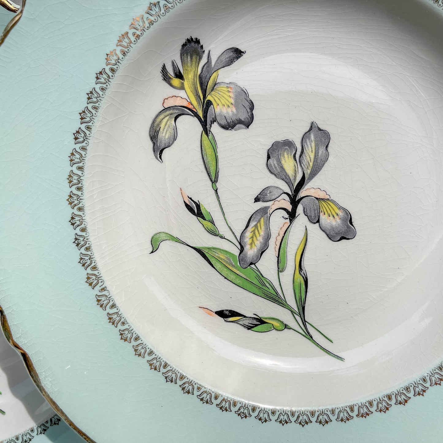6 Assiettes creuses porcelaine vintage blanche verte Iris Moulin des Loups "Sargosse" 1950s