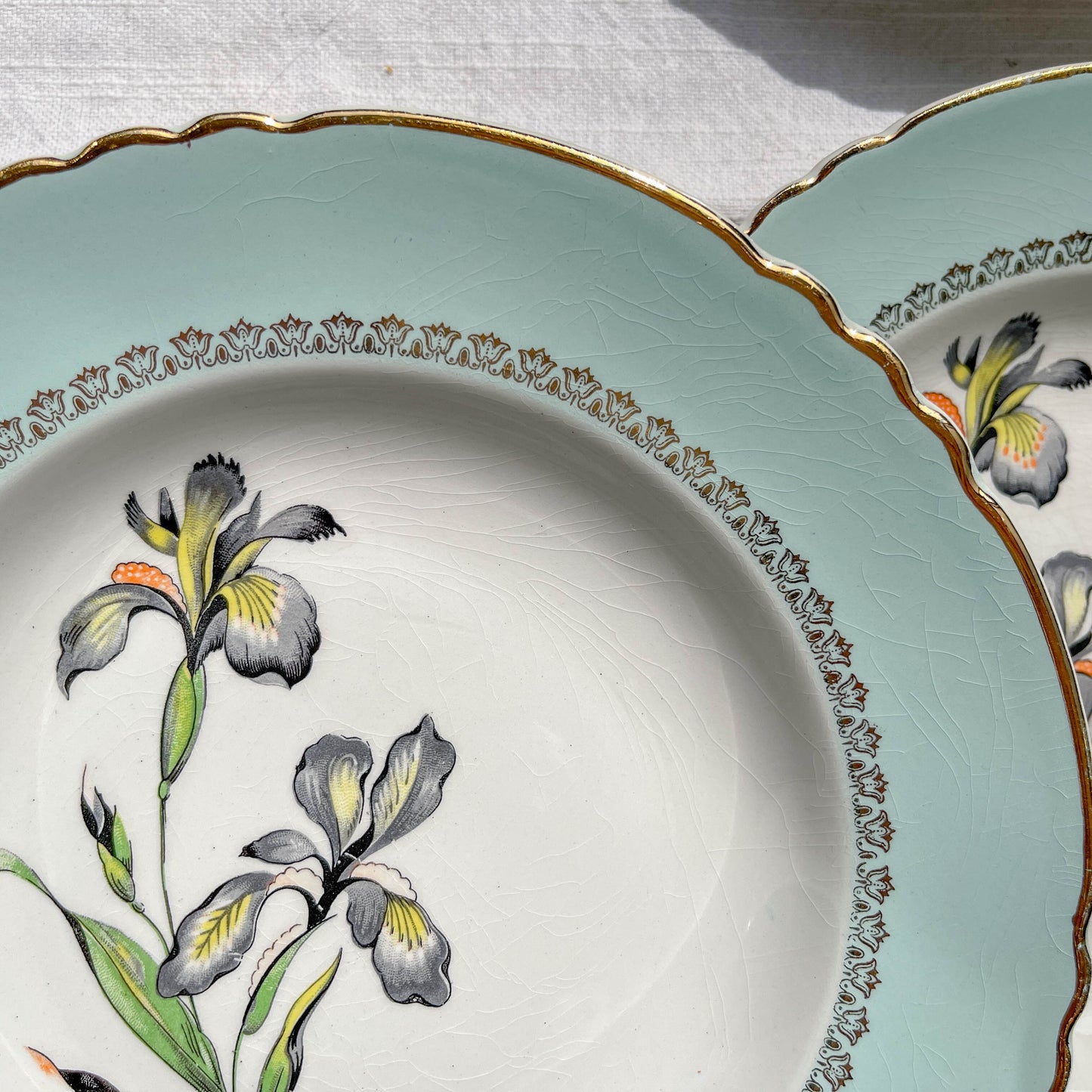 6 Assiettes creuses porcelaine vintage blanche verte Iris Moulin des Loups "Sargosse" 1950s