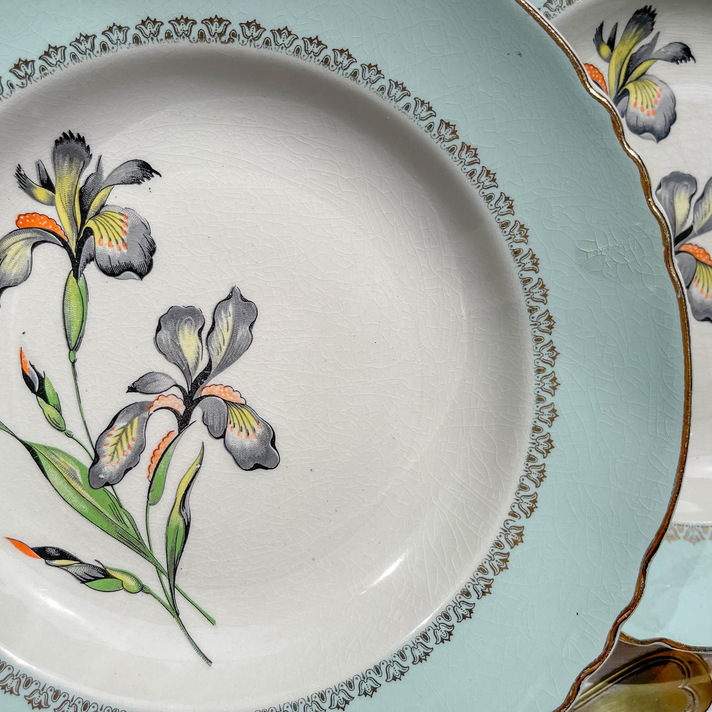 6 Assiettes creuses porcelaine vintage blanche verte Iris Moulin des Loups "Sargosse" 1950s