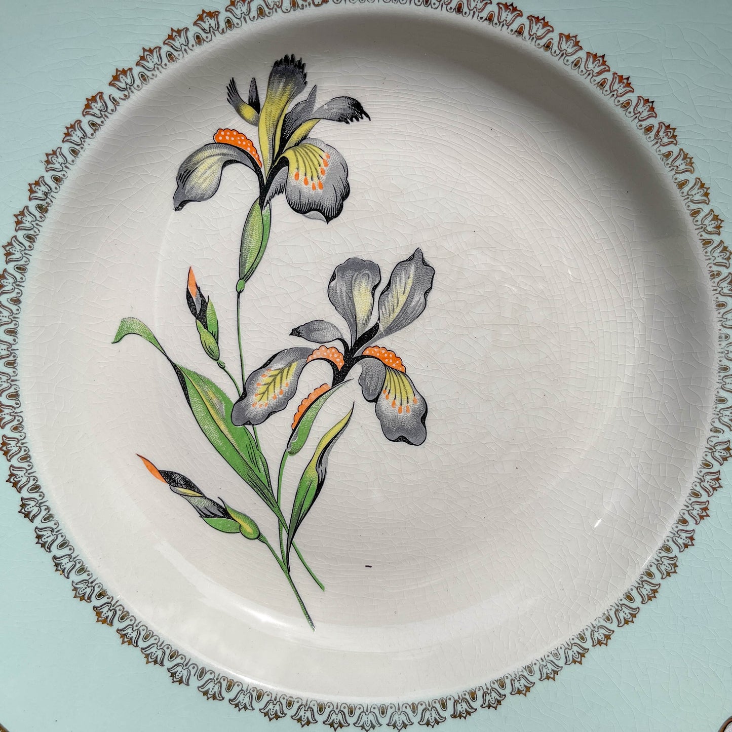 6 Assiettes creuses porcelaine vintage blanche verte Iris Moulin des Loups "Sargosse" 1950s