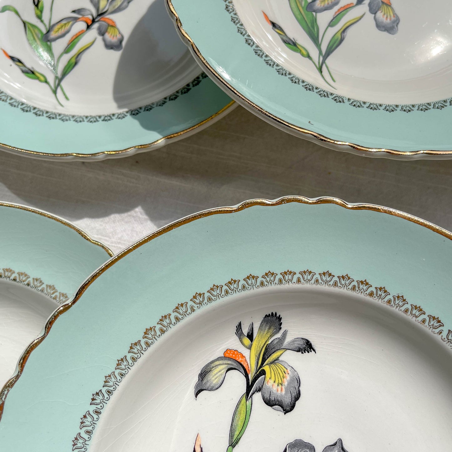 6 Assiettes creuses porcelaine vintage blanche verte Iris Moulin des Loups "Sargosse" 1950s