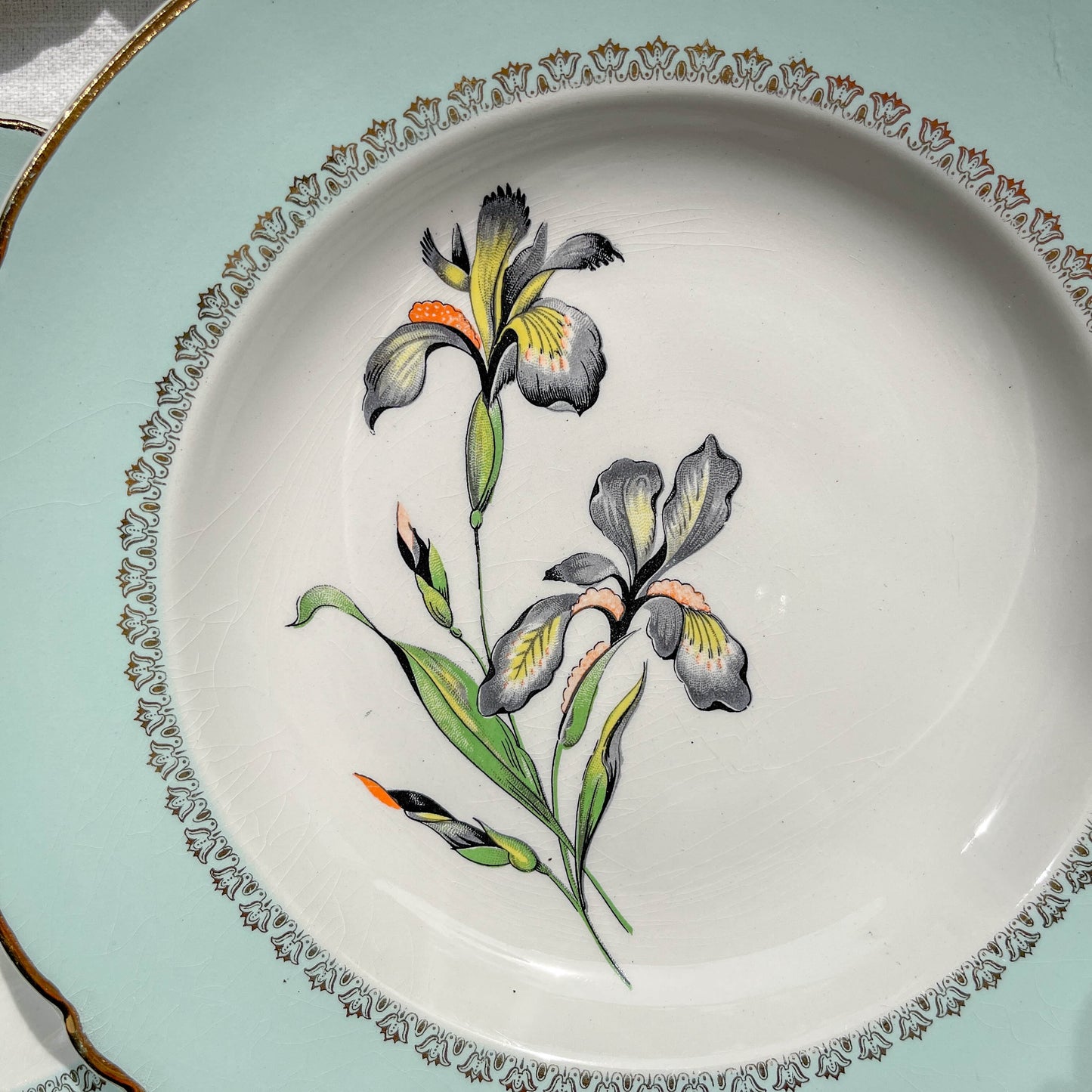 6 Assiettes creuses porcelaine vintage blanche verte Iris Moulin des Loups "Sargosse" 1950s