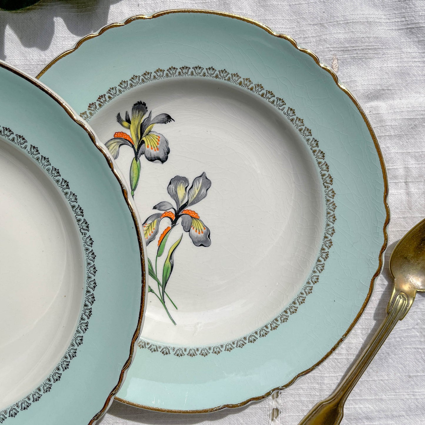 6 Assiettes creuses porcelaine vintage blanche verte Iris Moulin des Loups "Sargosse" 1950s