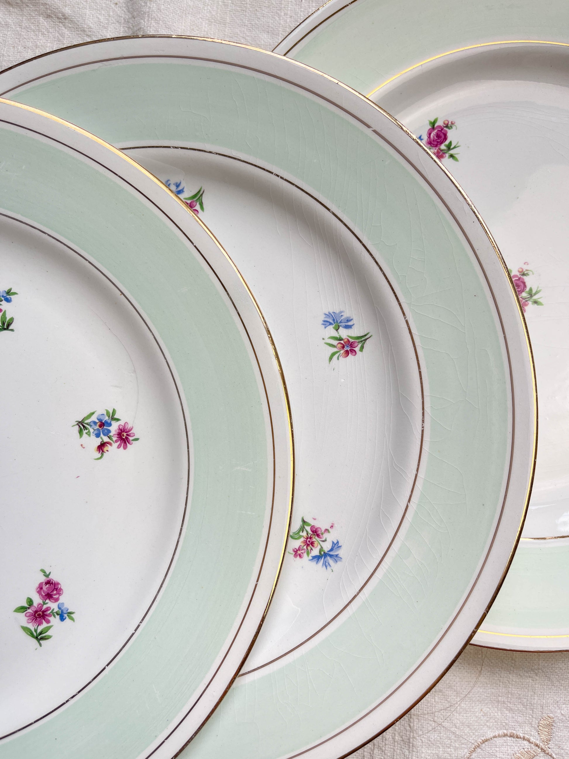 7 Assiettes plates en faïence blanche verte dorée fleuries SALINS 66 made in France