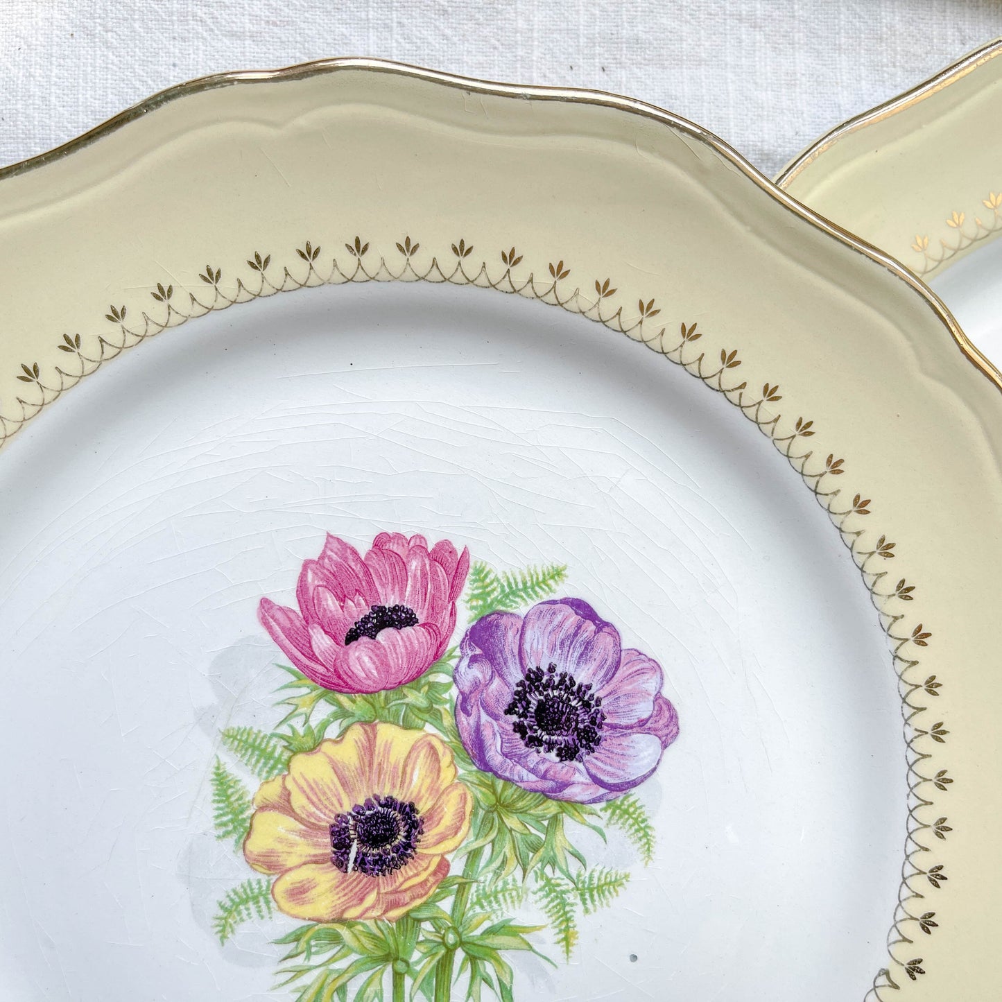 6 Assiettes plates en porcelaine vintage motif fleuri blanche jaune doré L'Amandinoise "Coopélia" -Vaisselle vintage fleurie