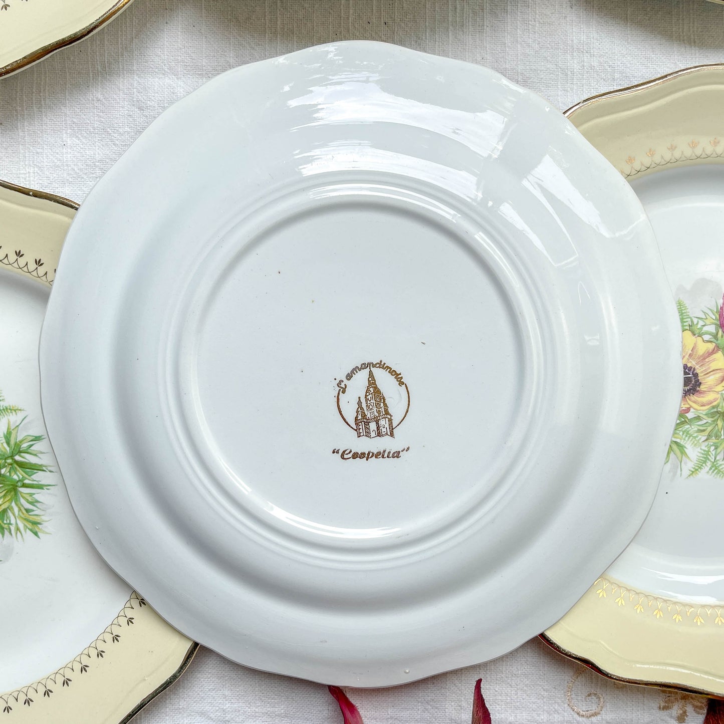 6 Assiettes plates en porcelaine vintage motif fleuri blanche jaune doré L'Amandinoise "Coopélia" -Vaisselle vintage fleurie