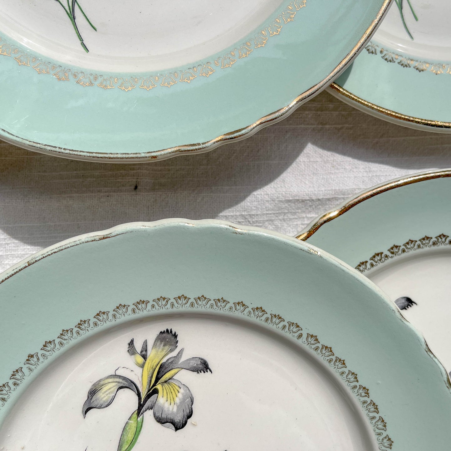 6 Assiettes plates porcelaine vintage blanche verte Iris Moulin des Loups "Sargosse" 1950s