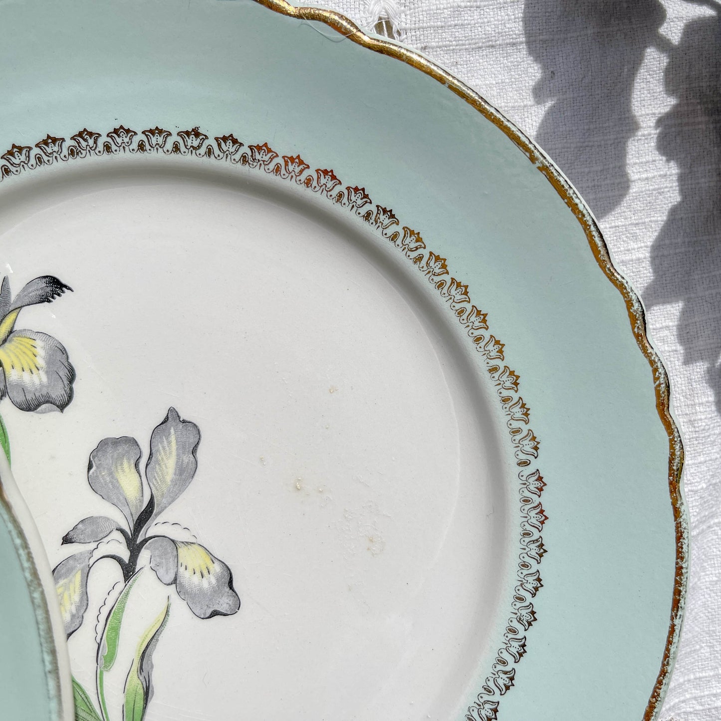 6 Assiettes plates porcelaine vintage blanche verte Iris Moulin des Loups "Sargosse" 1950s
