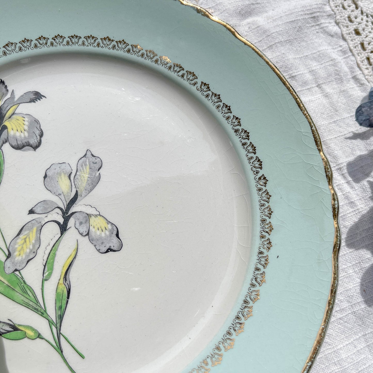 6 Assiettes plates porcelaine vintage blanche verte Iris Moulin des Loups "Sargosse" 1950s