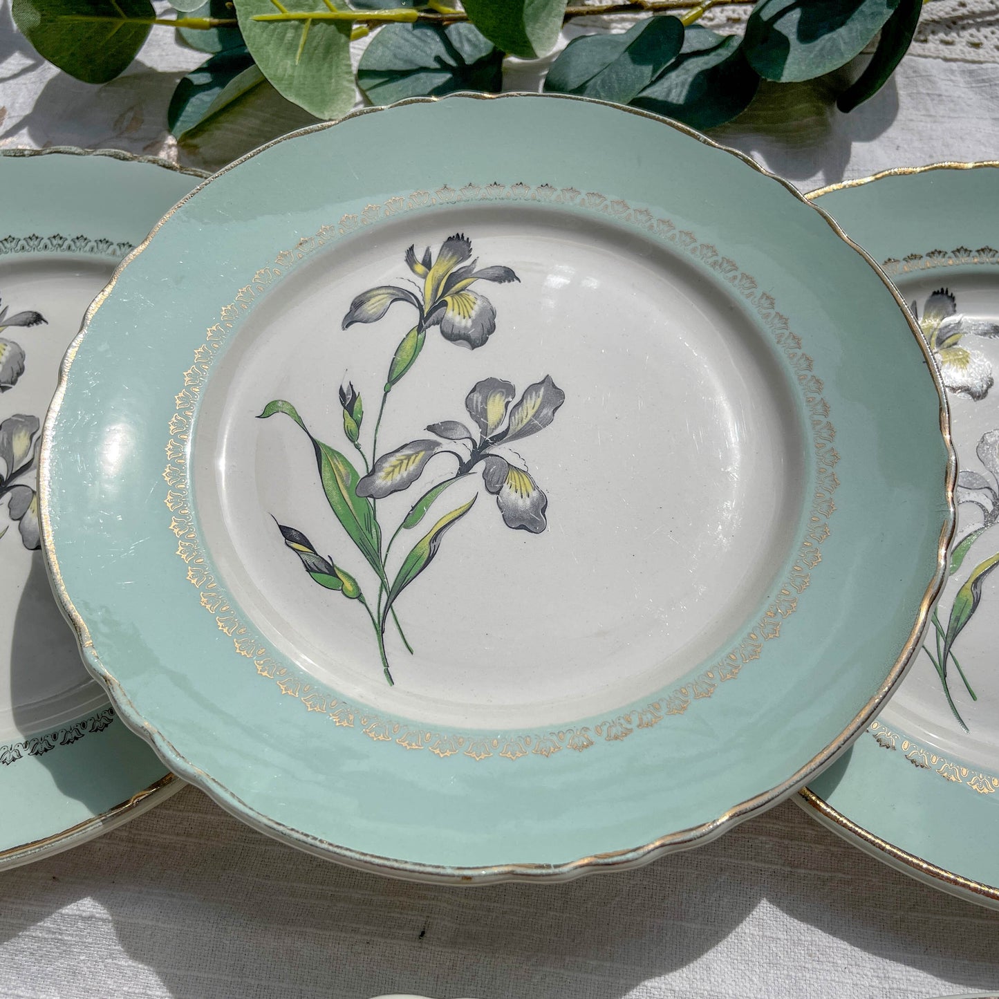 6 Assiettes plates porcelaine vintage blanche verte Iris Moulin des Loups "Sargosse" 1950s