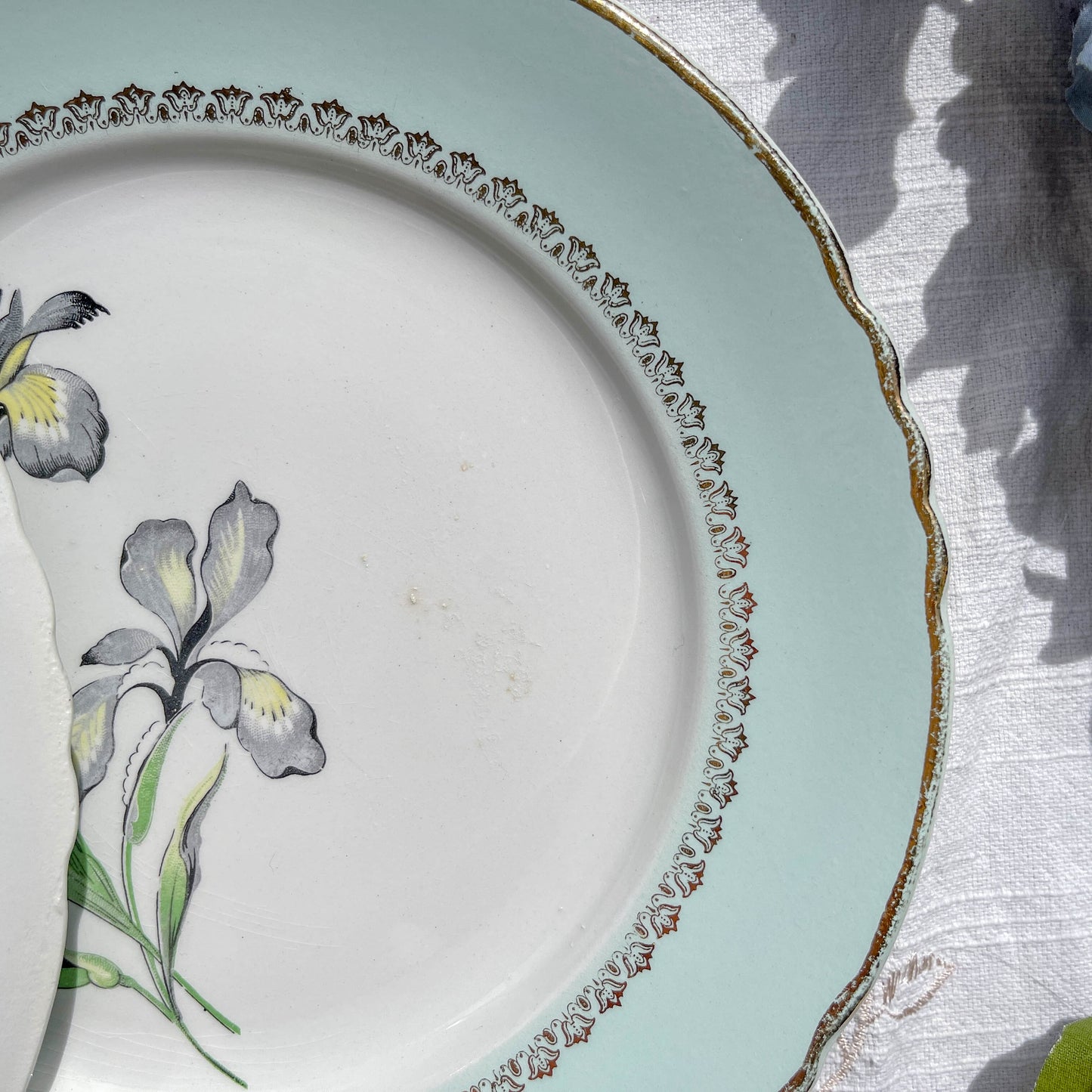 6 Assiettes plates porcelaine vintage blanche verte Iris Moulin des Loups "Sargosse" 1950s