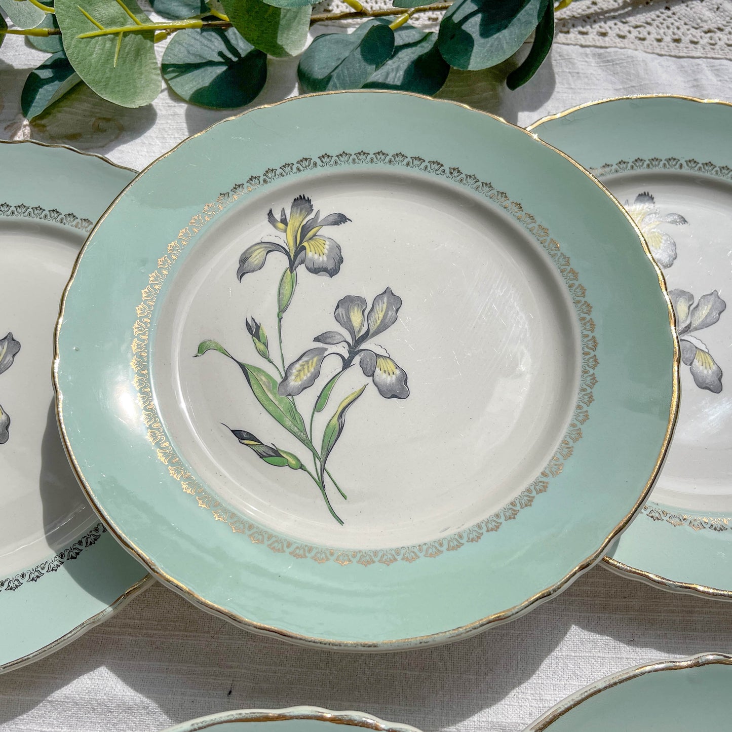 6 Assiettes plates porcelaine vintage blanche verte Iris Moulin des Loups "Sargosse" 1950s